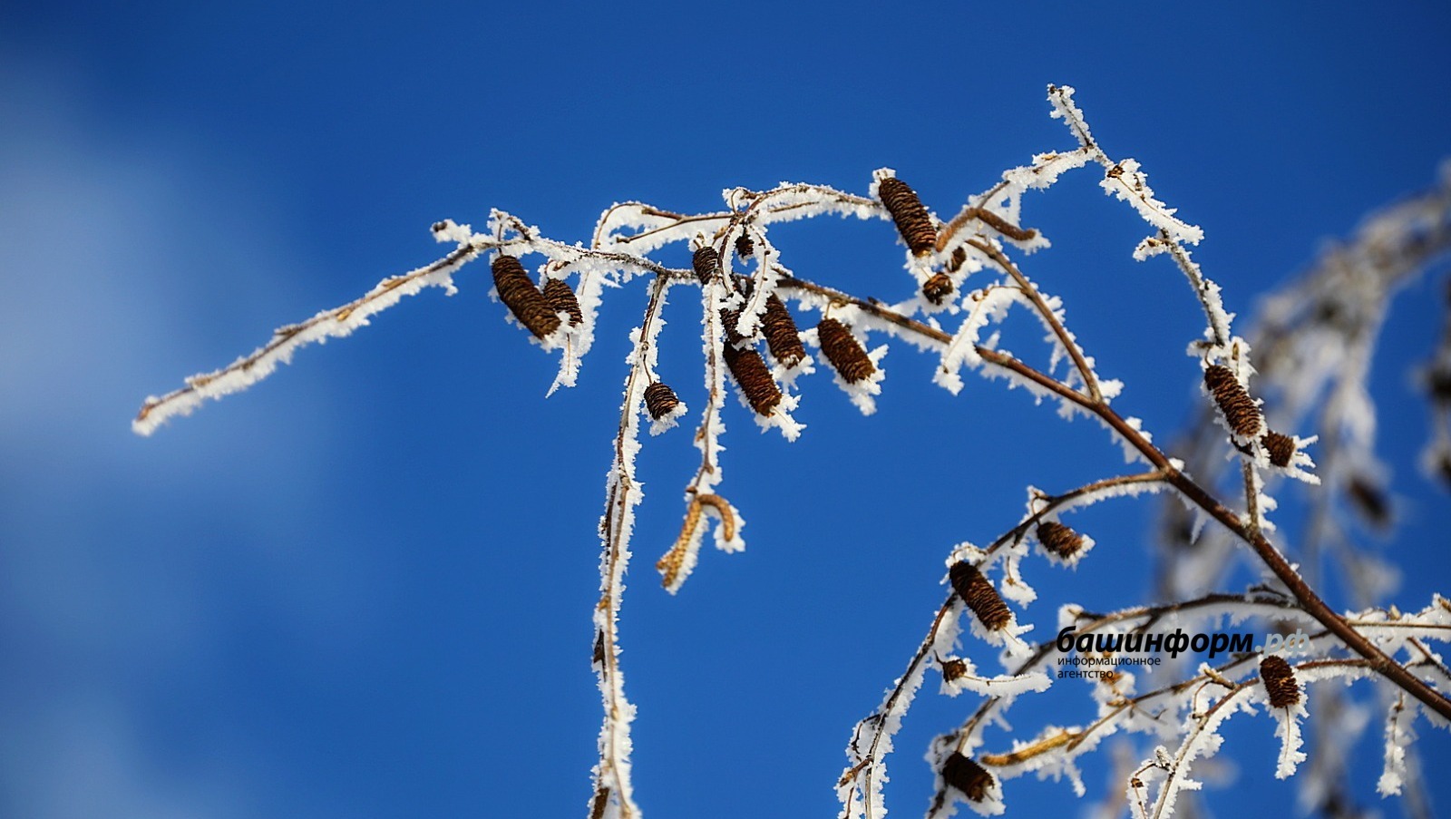 В Башкирии на фоне повышения температуры сохранятся ночные морозы