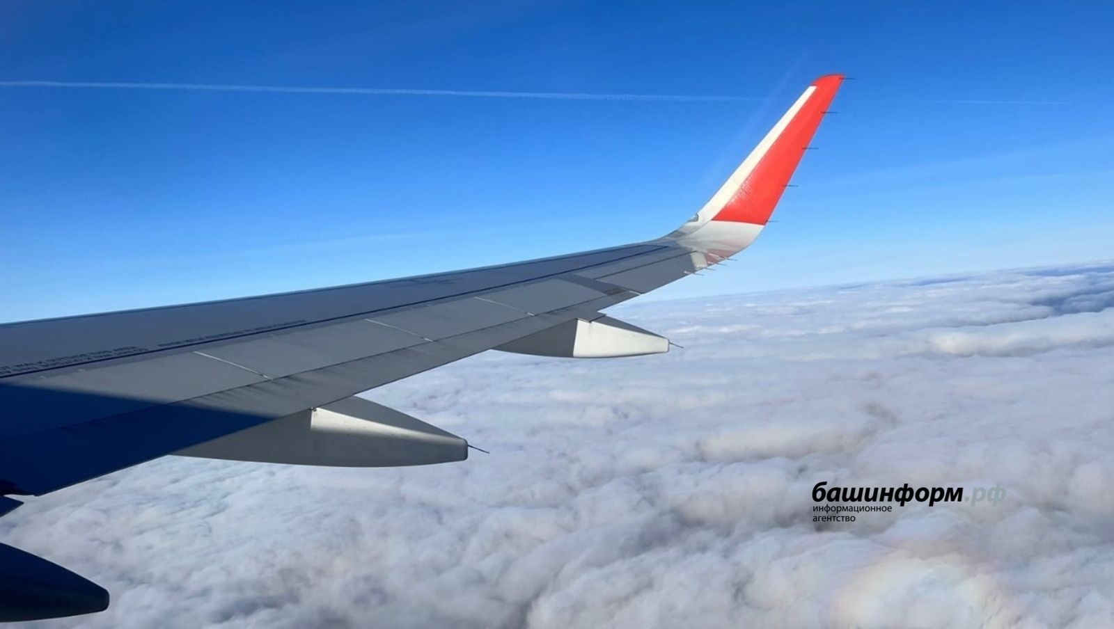 Пытался в небе выйти из самолета: в Башкирии авиадебоширу вынесли приговор