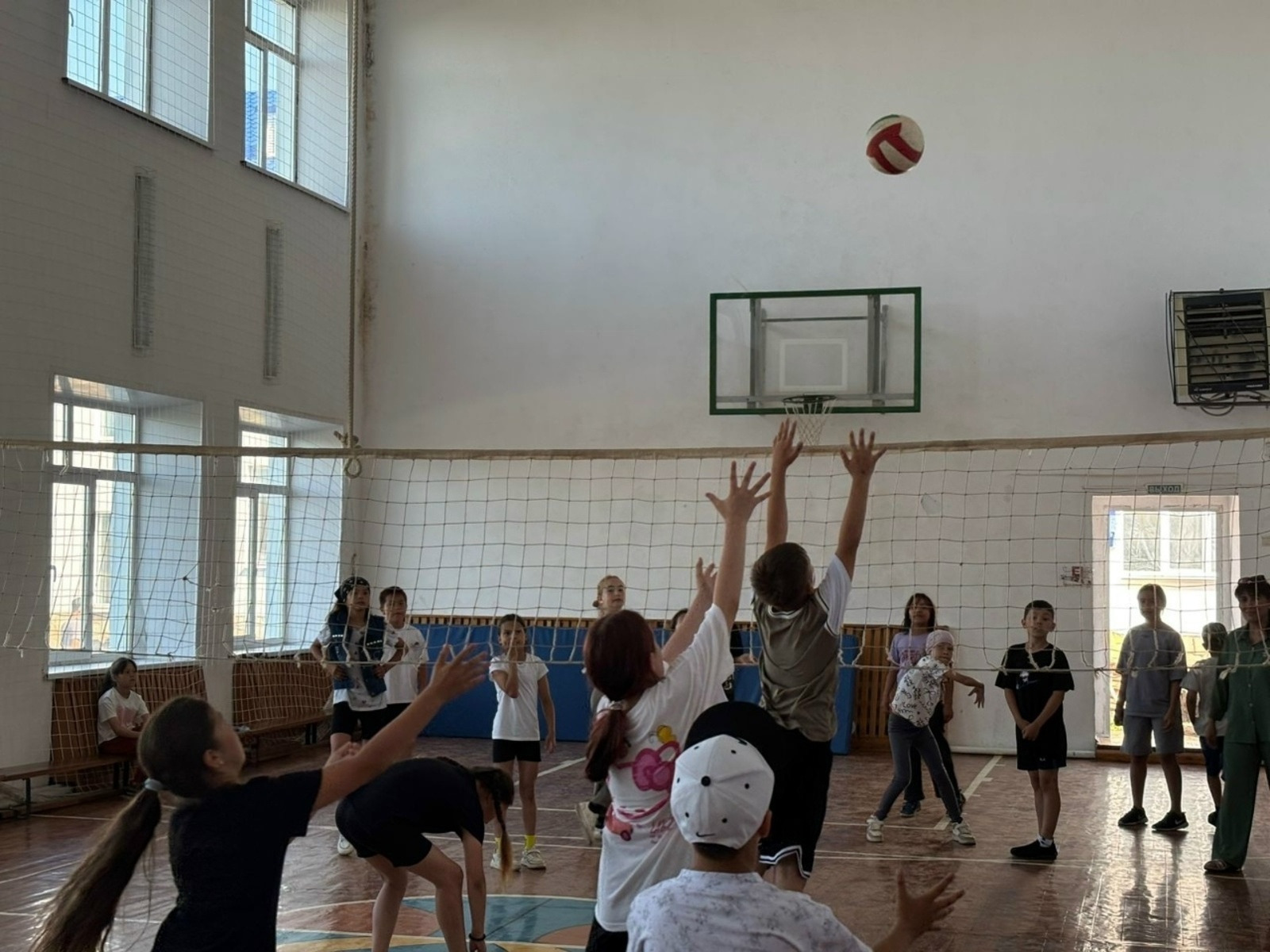 Летняя оздоровительная компания