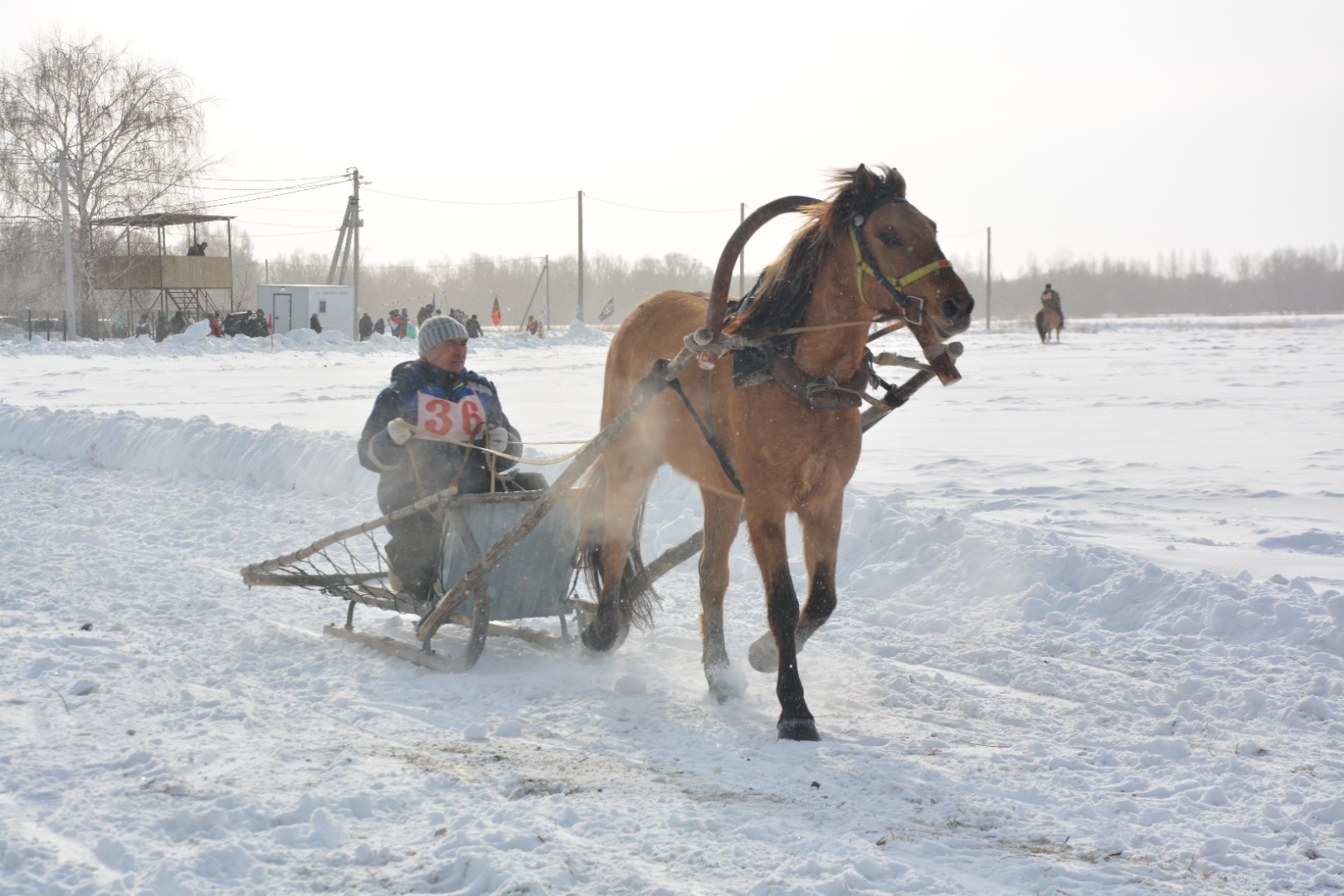 Сегодняшние «Зимние игры» выявили героев конного спорта