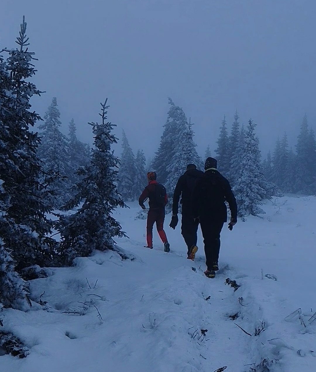 Команда «Башкирской меди» покорила гору Иремель