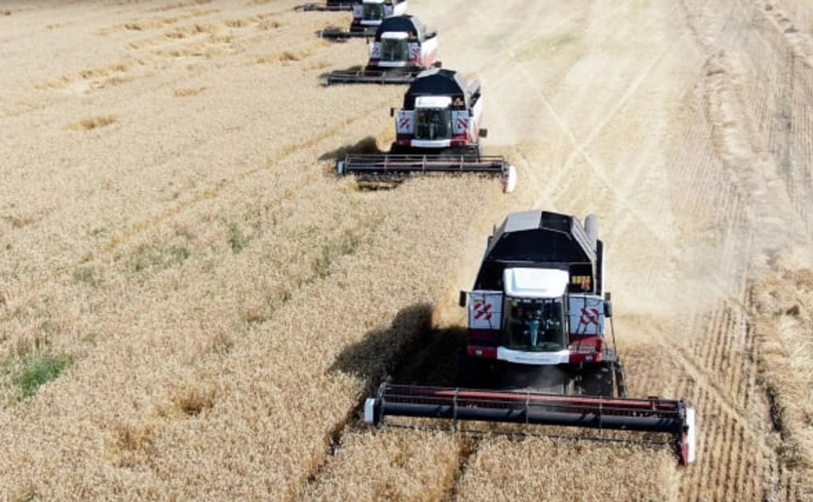 Производство зерна в Башкирии хотят увеличить почти на 30% за два года