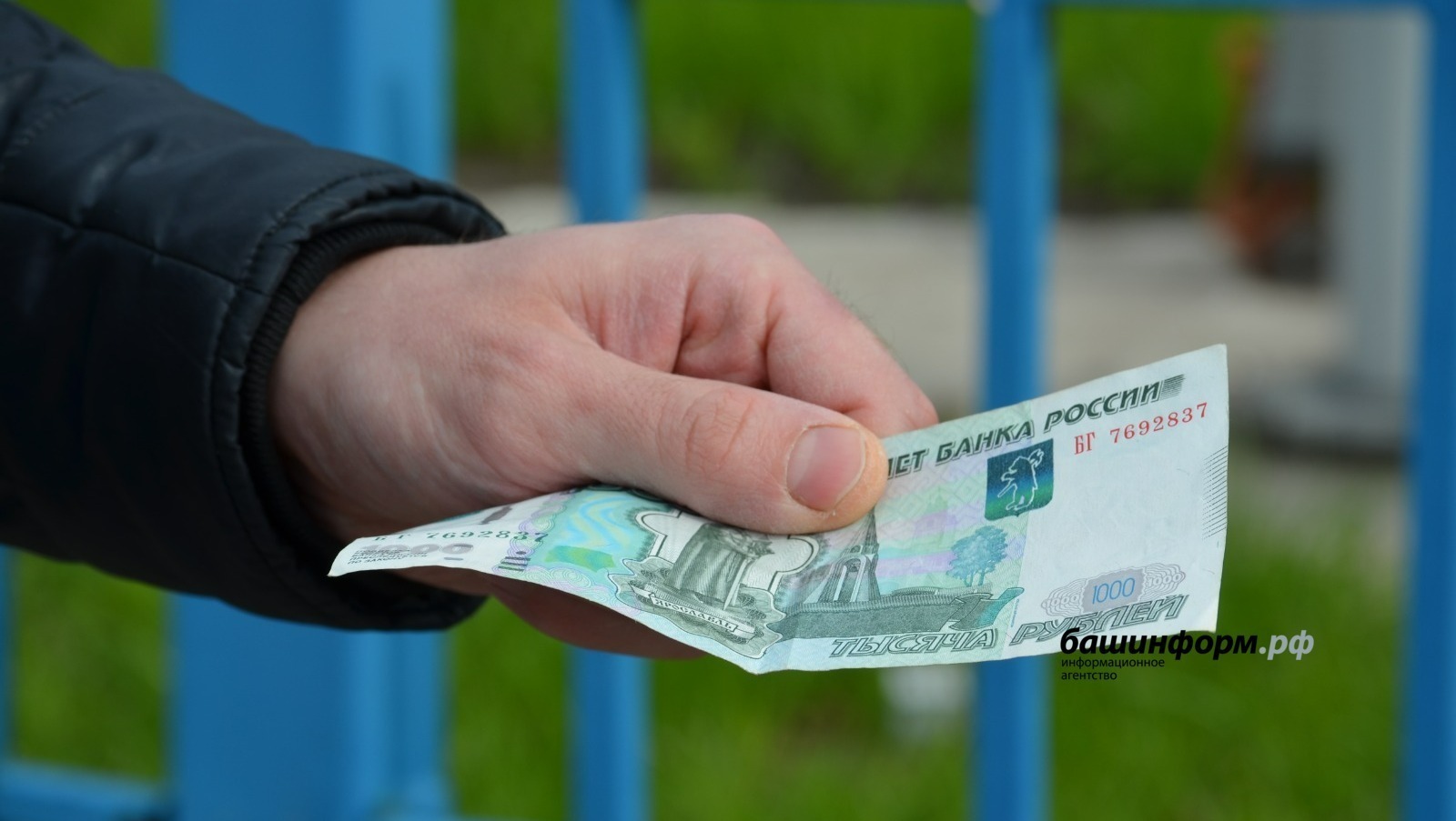 В Башкирии ветврач брал взятки за оформление «липовых» документов