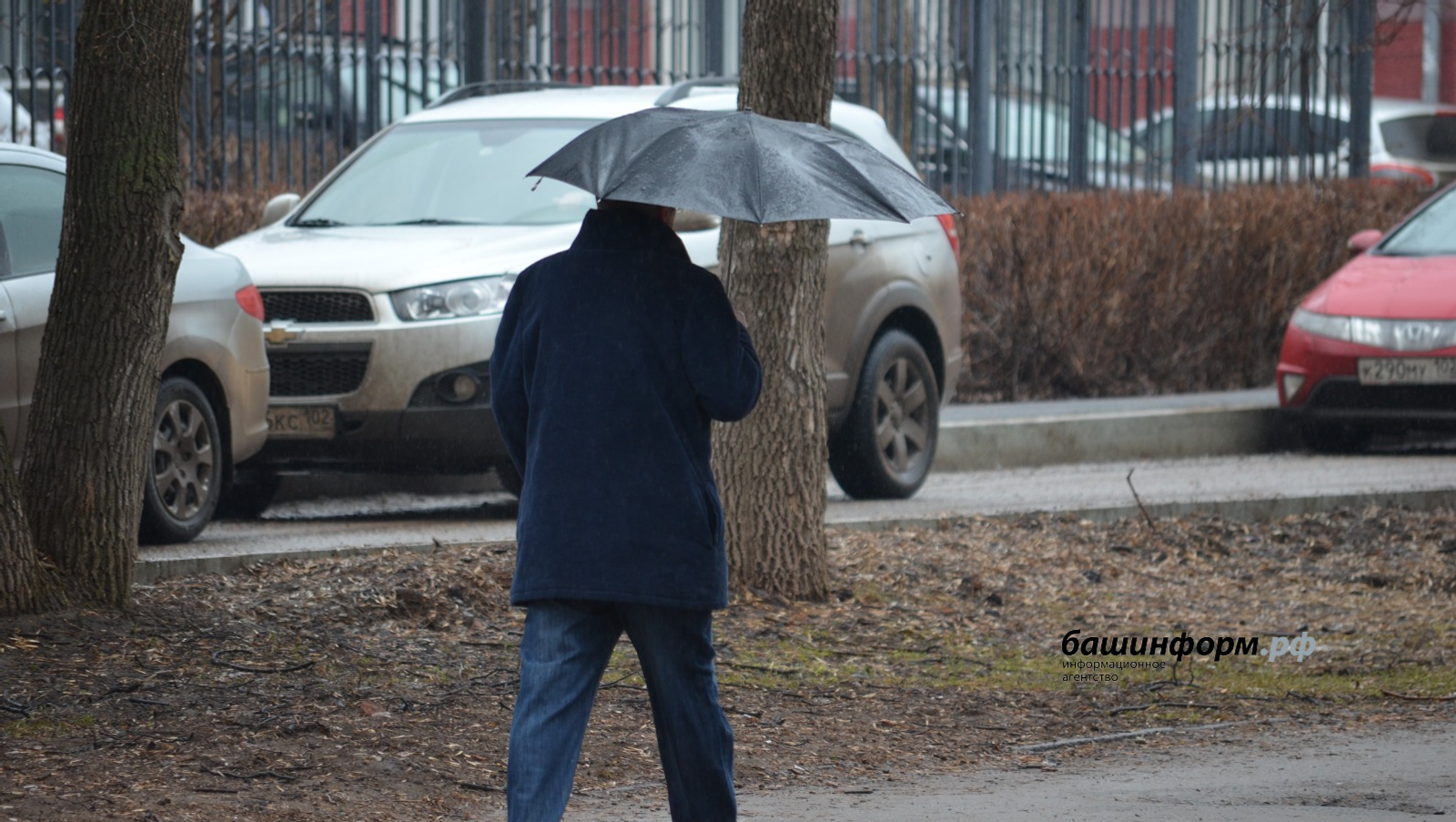 На Башкирию обрушатся сильные дожди