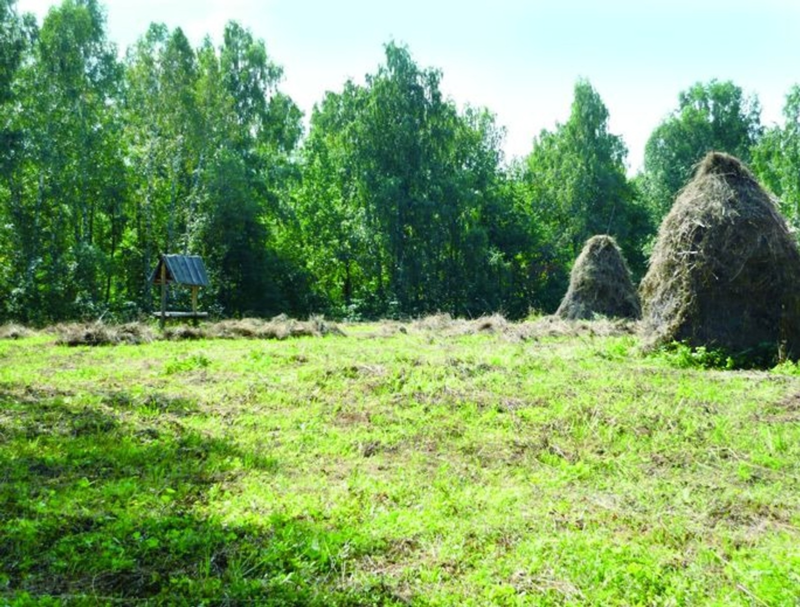 В Башкирии нашли нарушение в природном заказнике