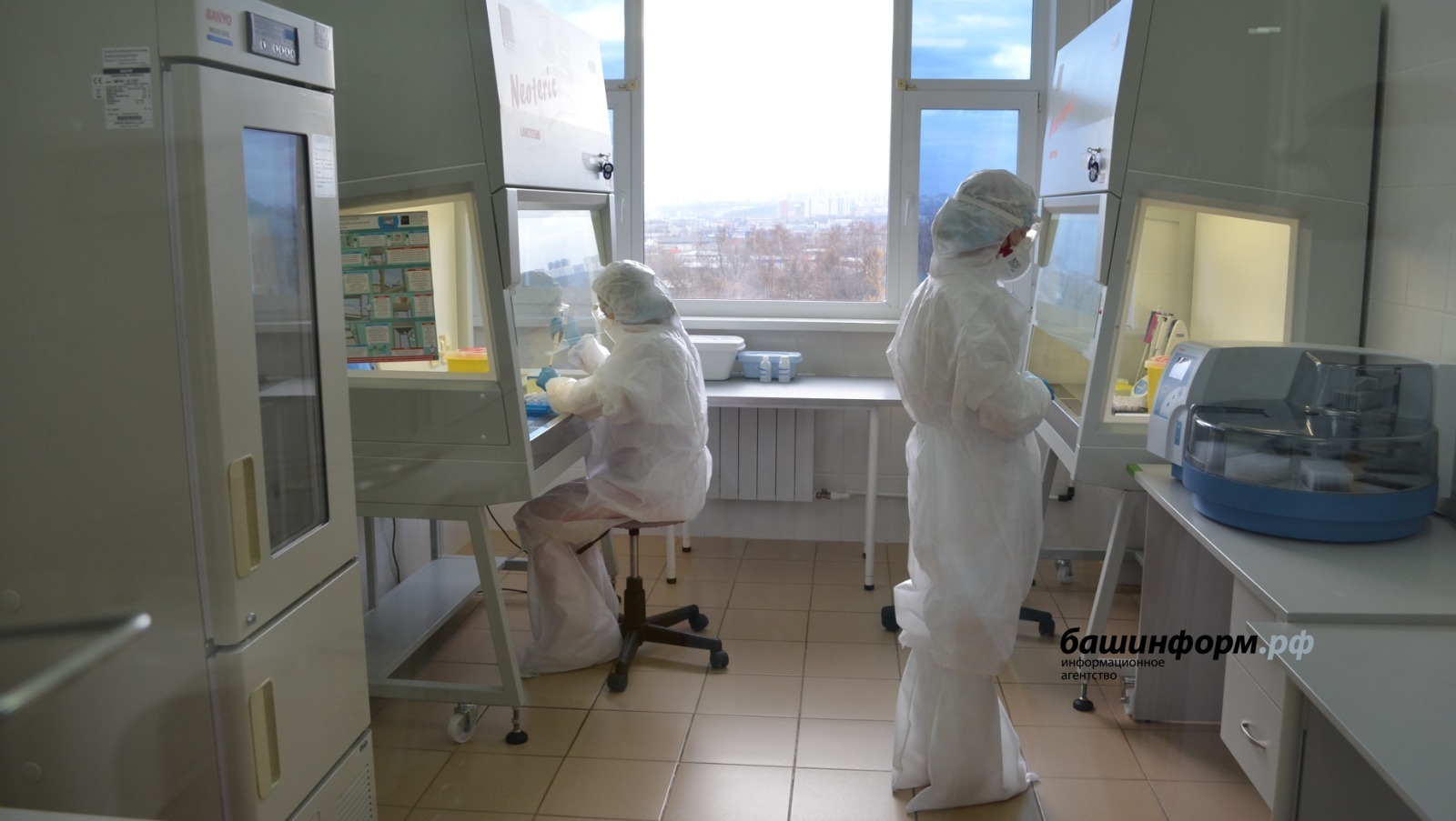 В России выявили новый штамм коронавируса «арктур»