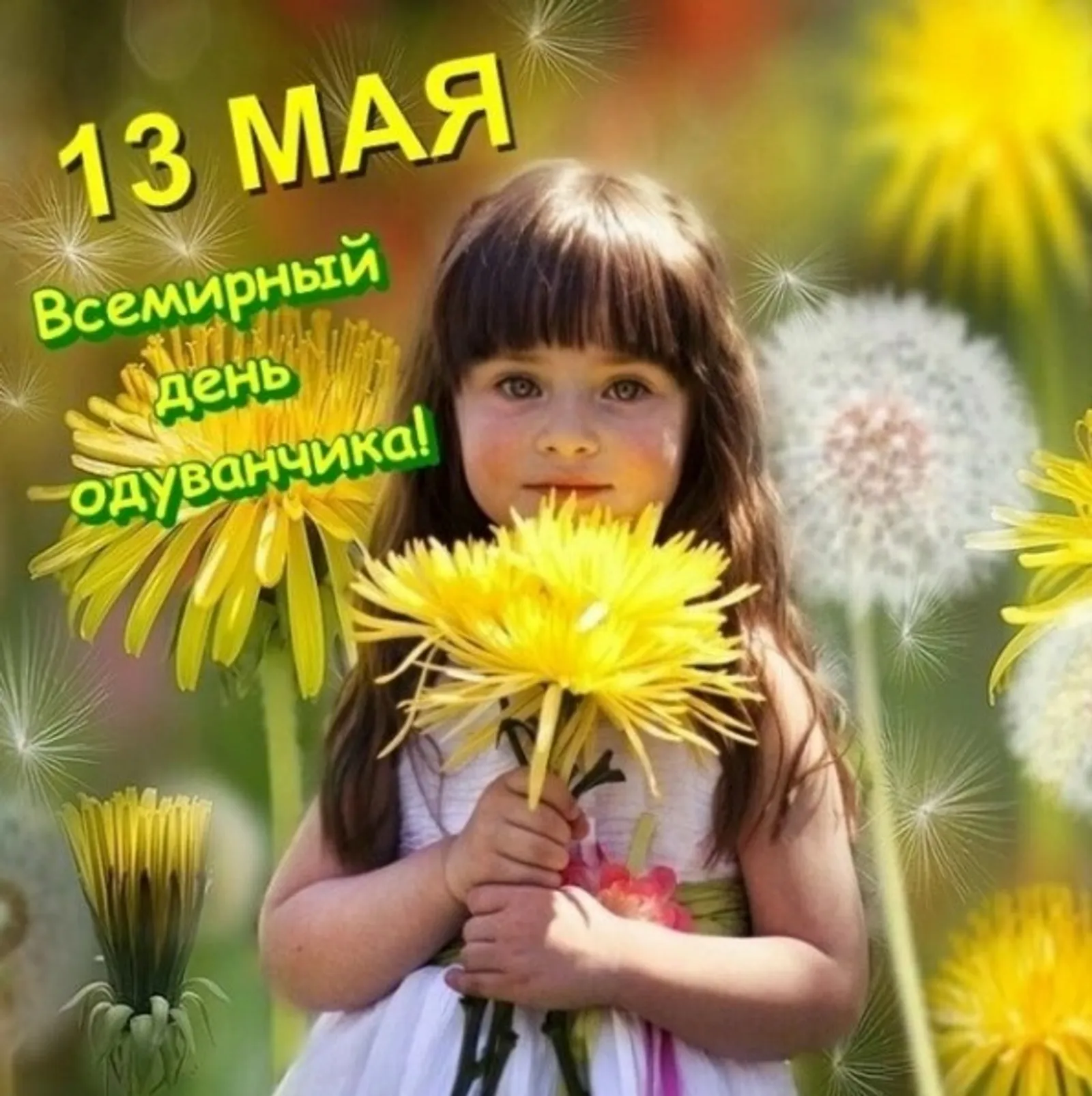13 мая – Всемирный день одуванчика!