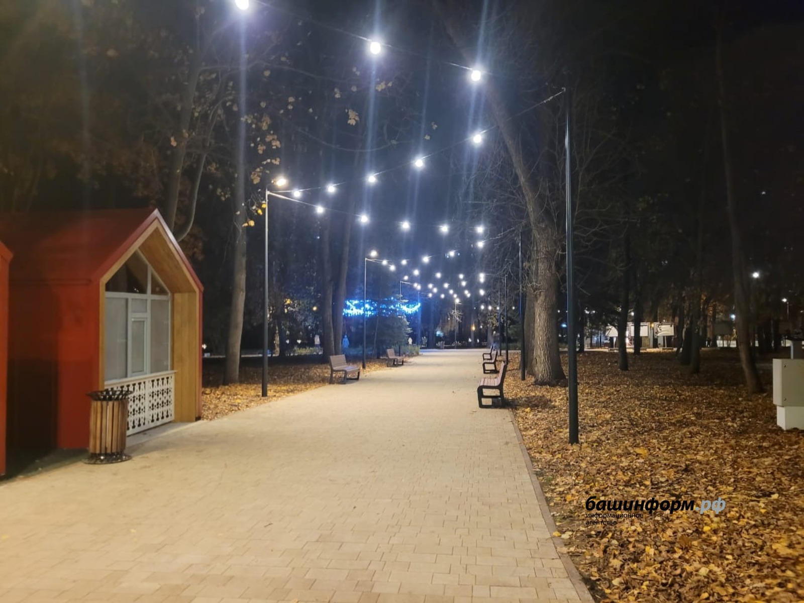 О нашей культуре замолвите слово