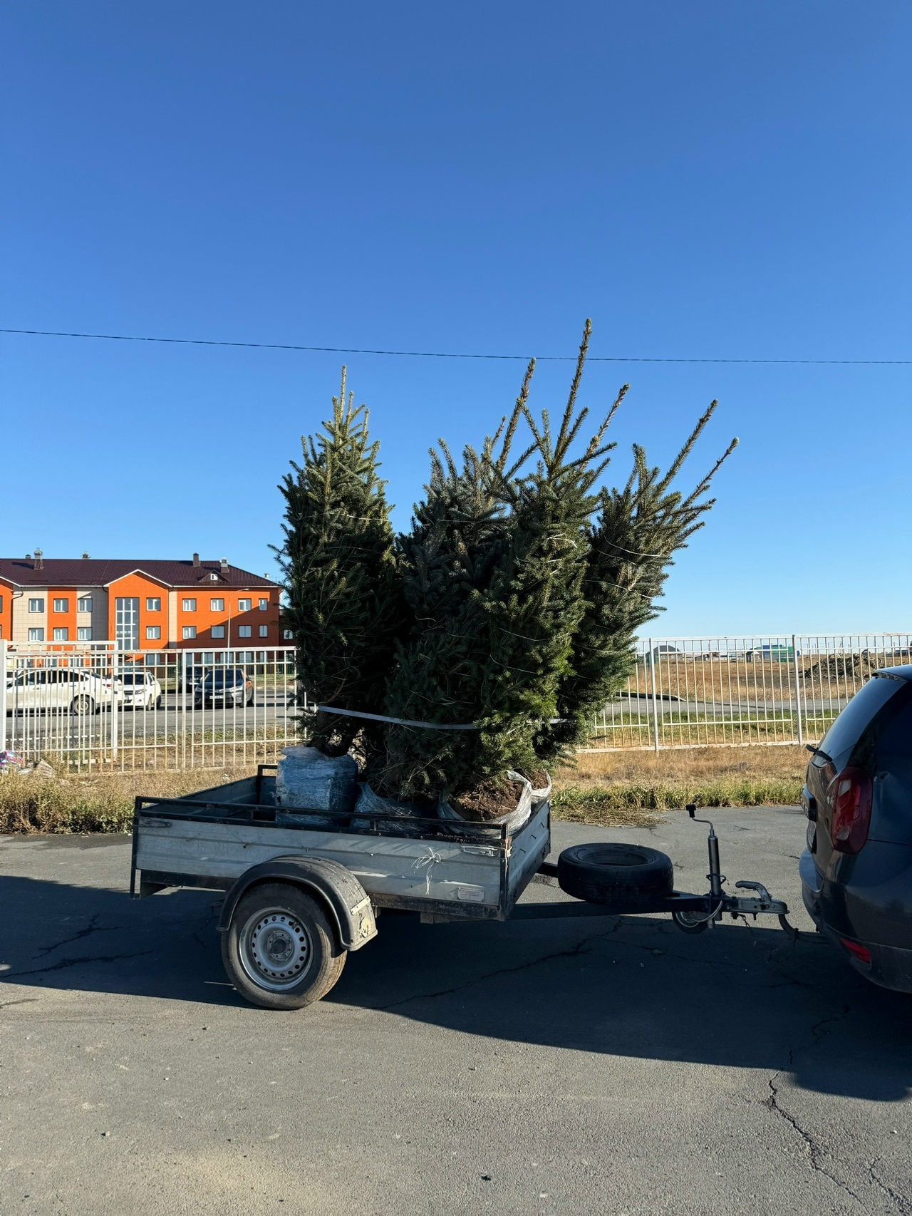 Хйбуллинцы приняли участие в ежегодной Республиканской акции «Зелёная Башкирия».