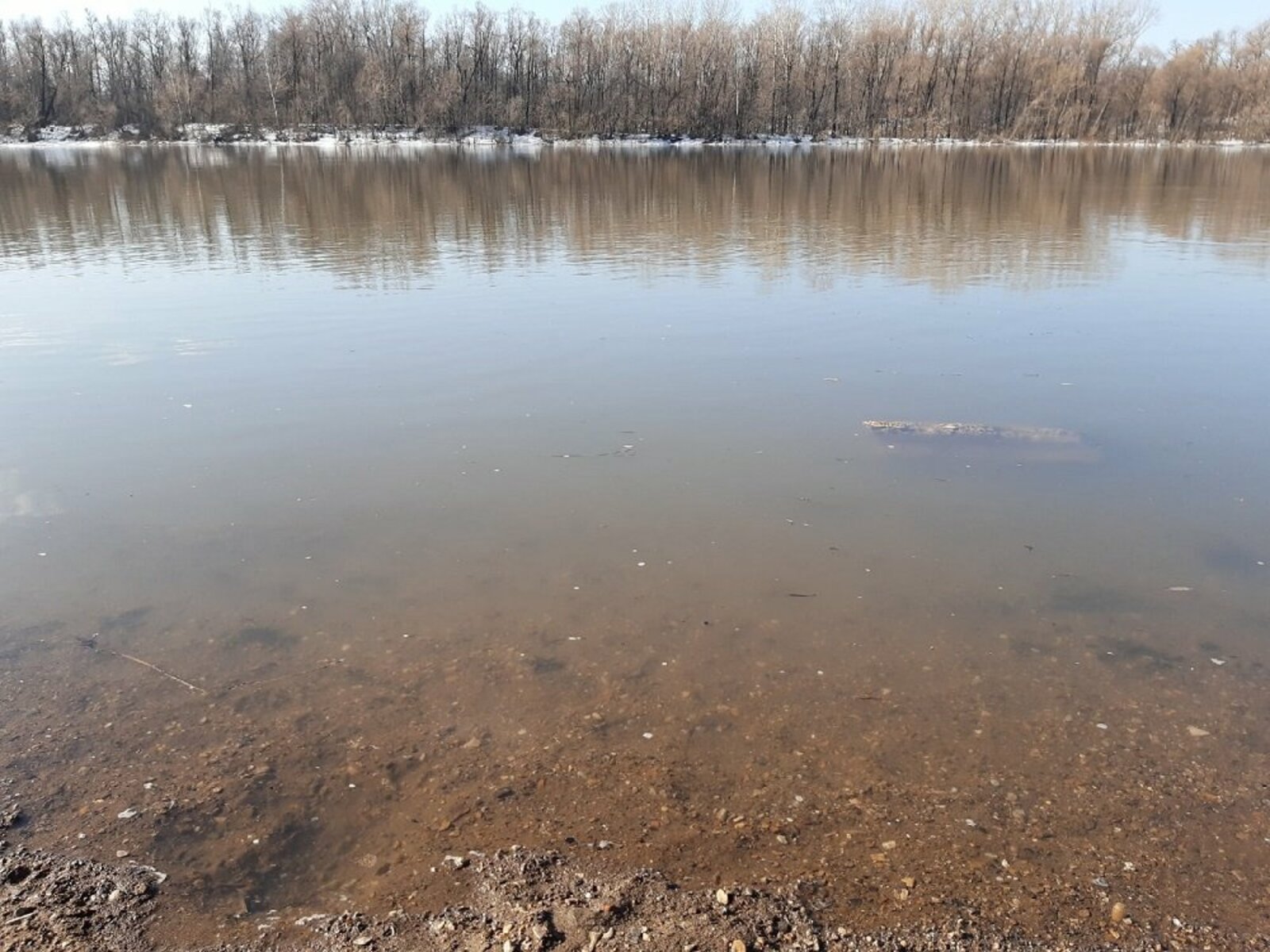 В Башкирии тепло наступит раньше, чем обычно – Ожидается скорое вскрытие рек