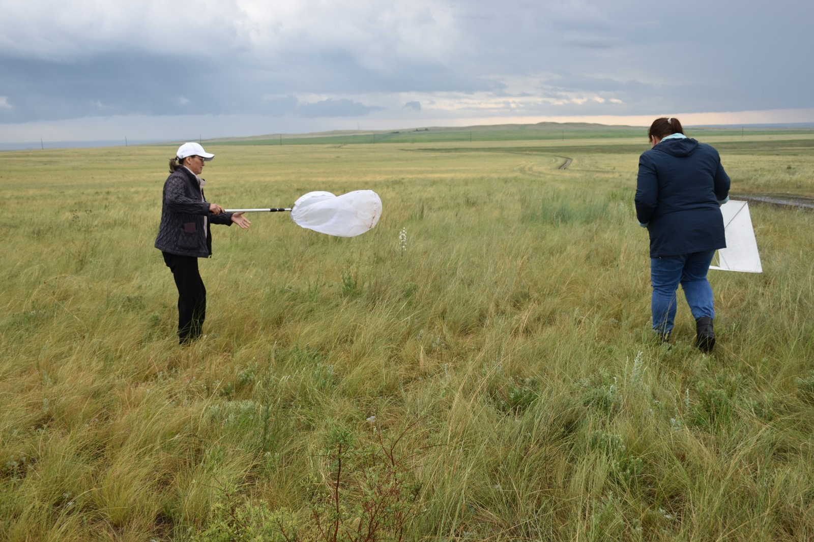 На юге Башкирии проверили наличие саранчи