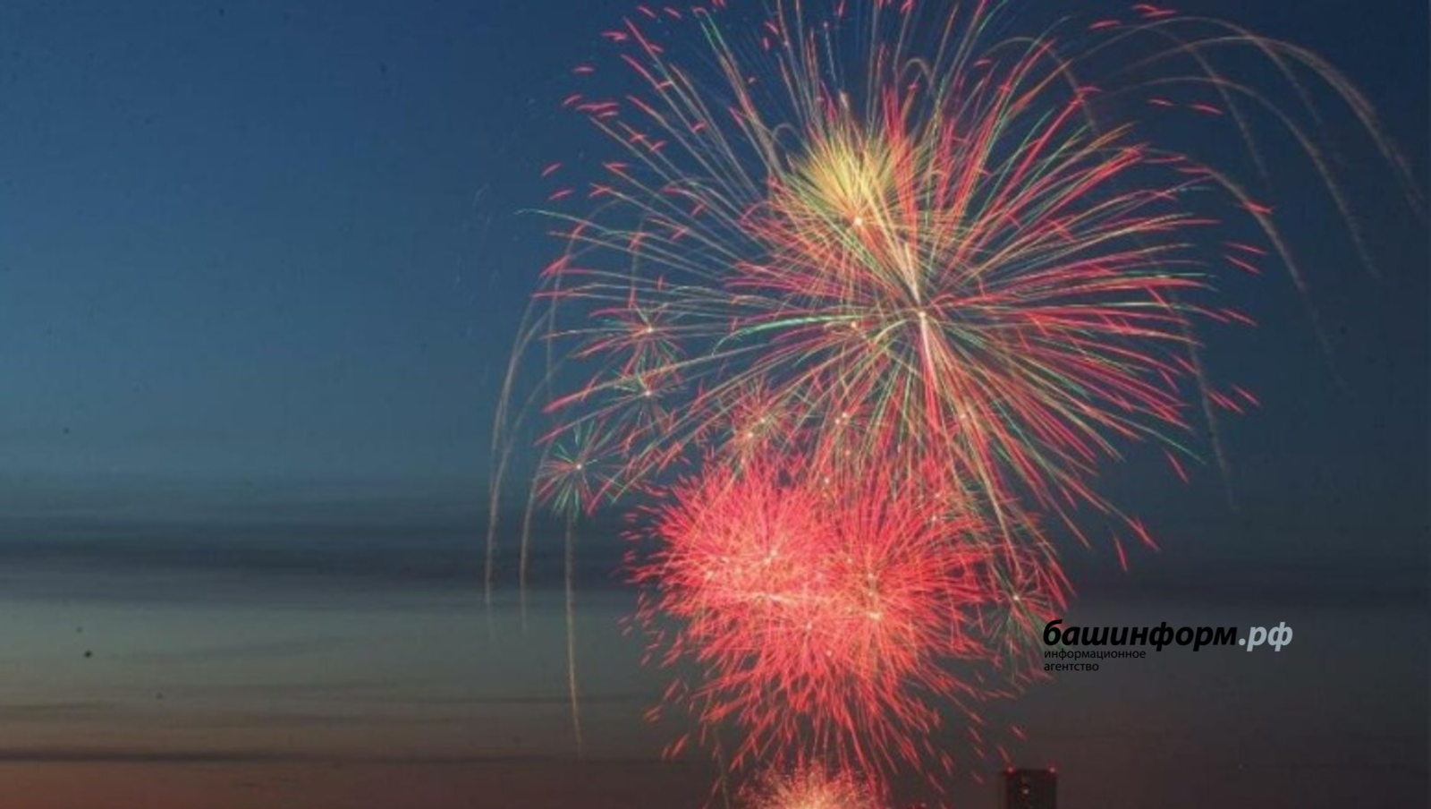 Жителям Башкирии вместо покупки фейерверка предложили сделать доброе дело