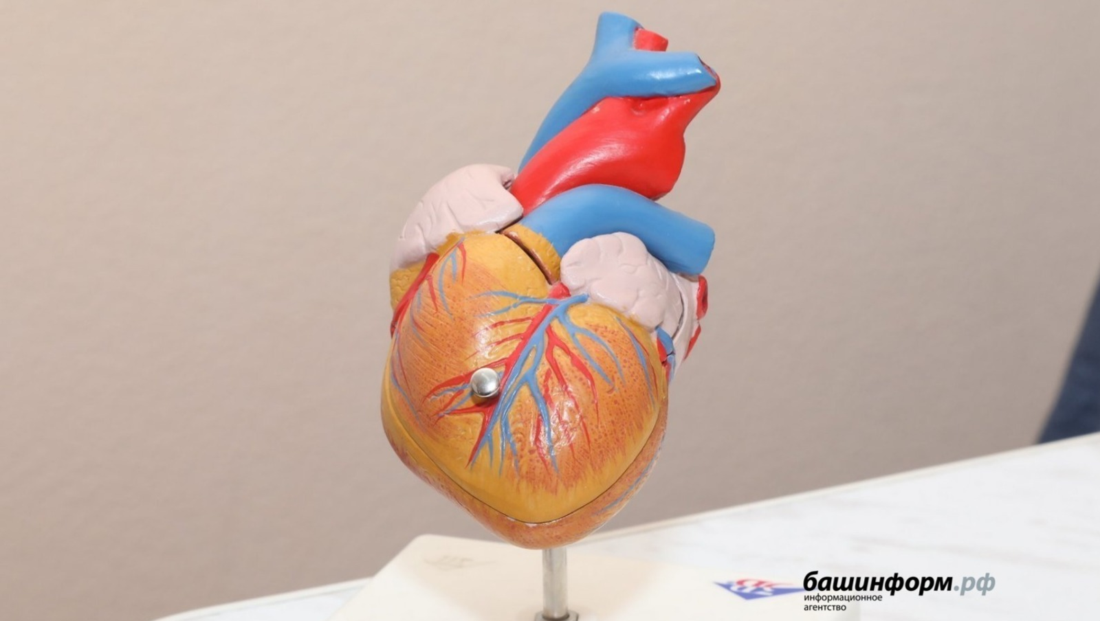 Жителям Башкирии рассказали о профилактике тромбоза