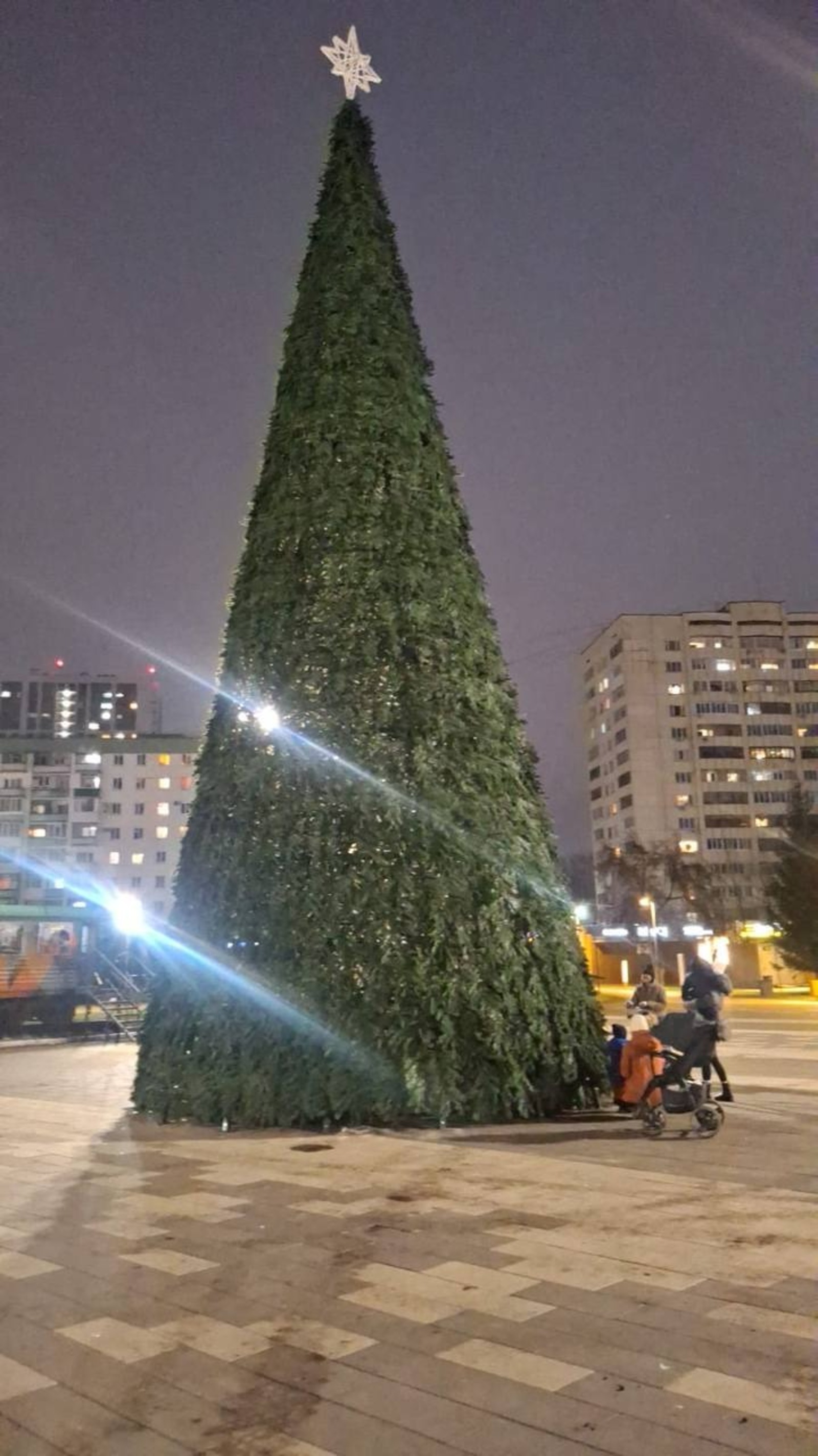 В районе Уфы установили новогоднюю ель