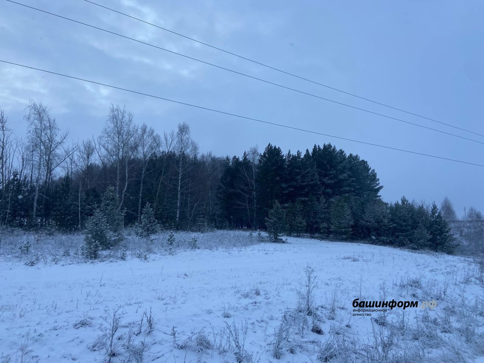 Жителей Башкирии предупредили о предстоящей метели