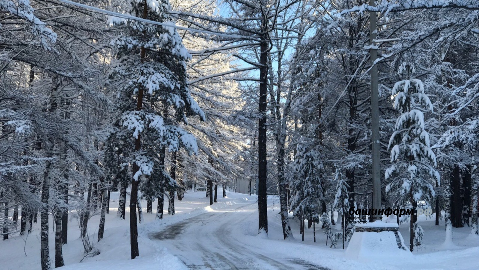 Жителей Башкирии предупредили о снегопаде