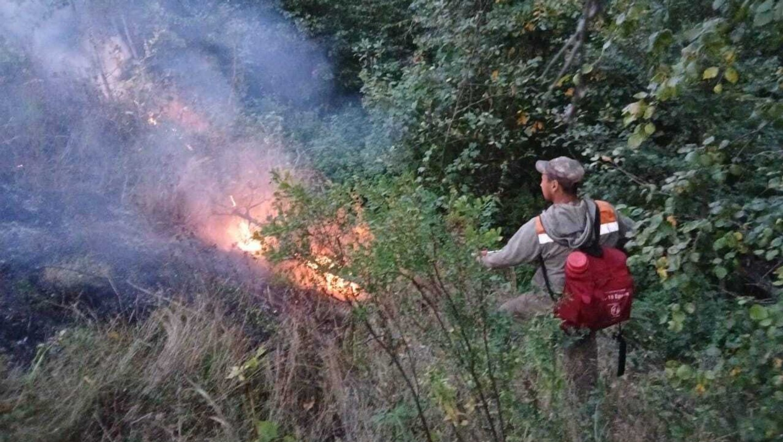 В Башкирии потушили один лесной пожар и два возгорания сухой травы