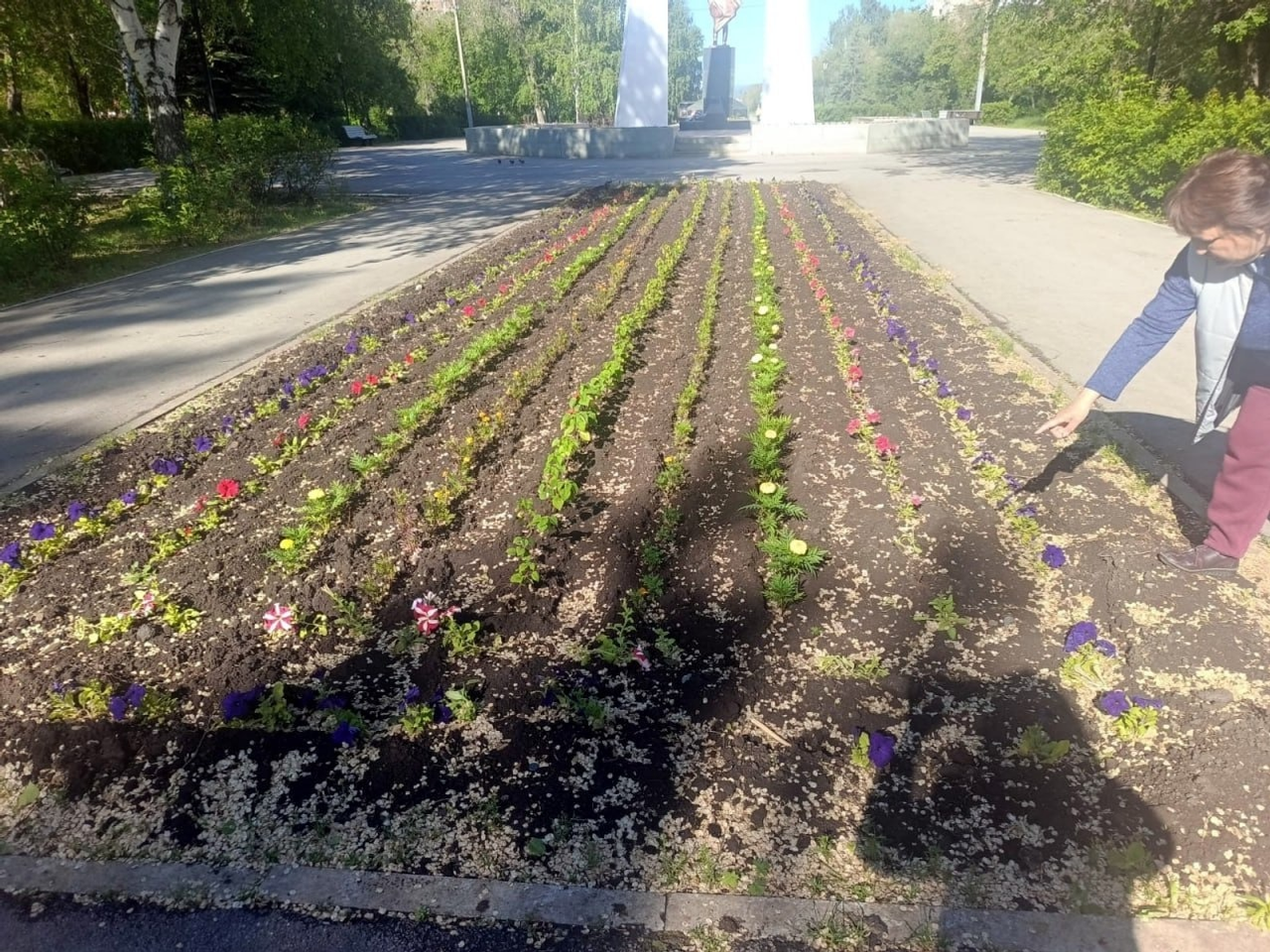 В Башкирии вандалы своровали целую клумбу цветов