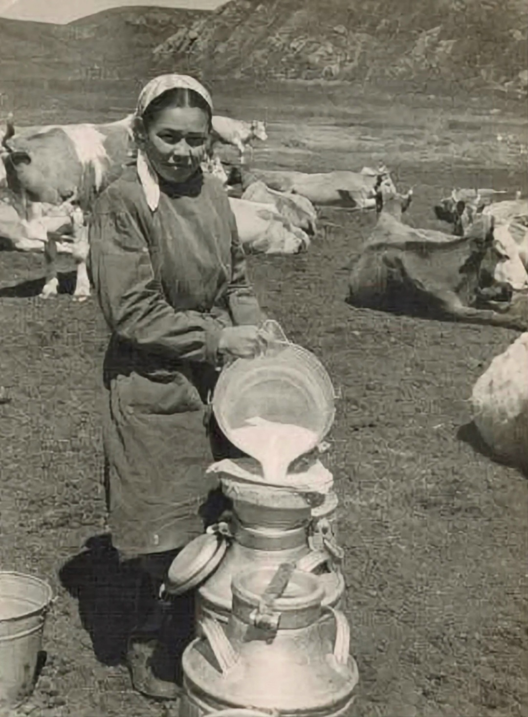 Жизнь, достойная книги