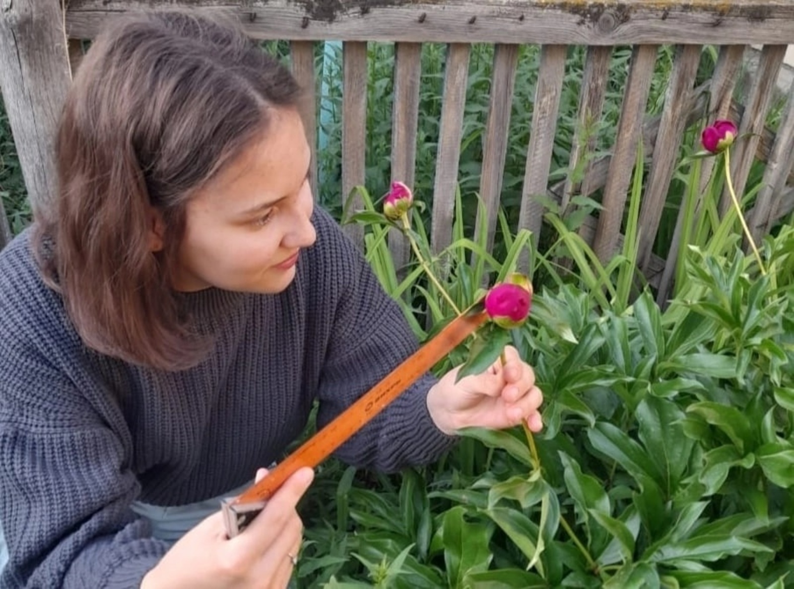 Юная исследовательница Софья Кожухарь, ученица школы № 2 села Акъяр, стала победителем регионального этапа Всероссийского конкурса