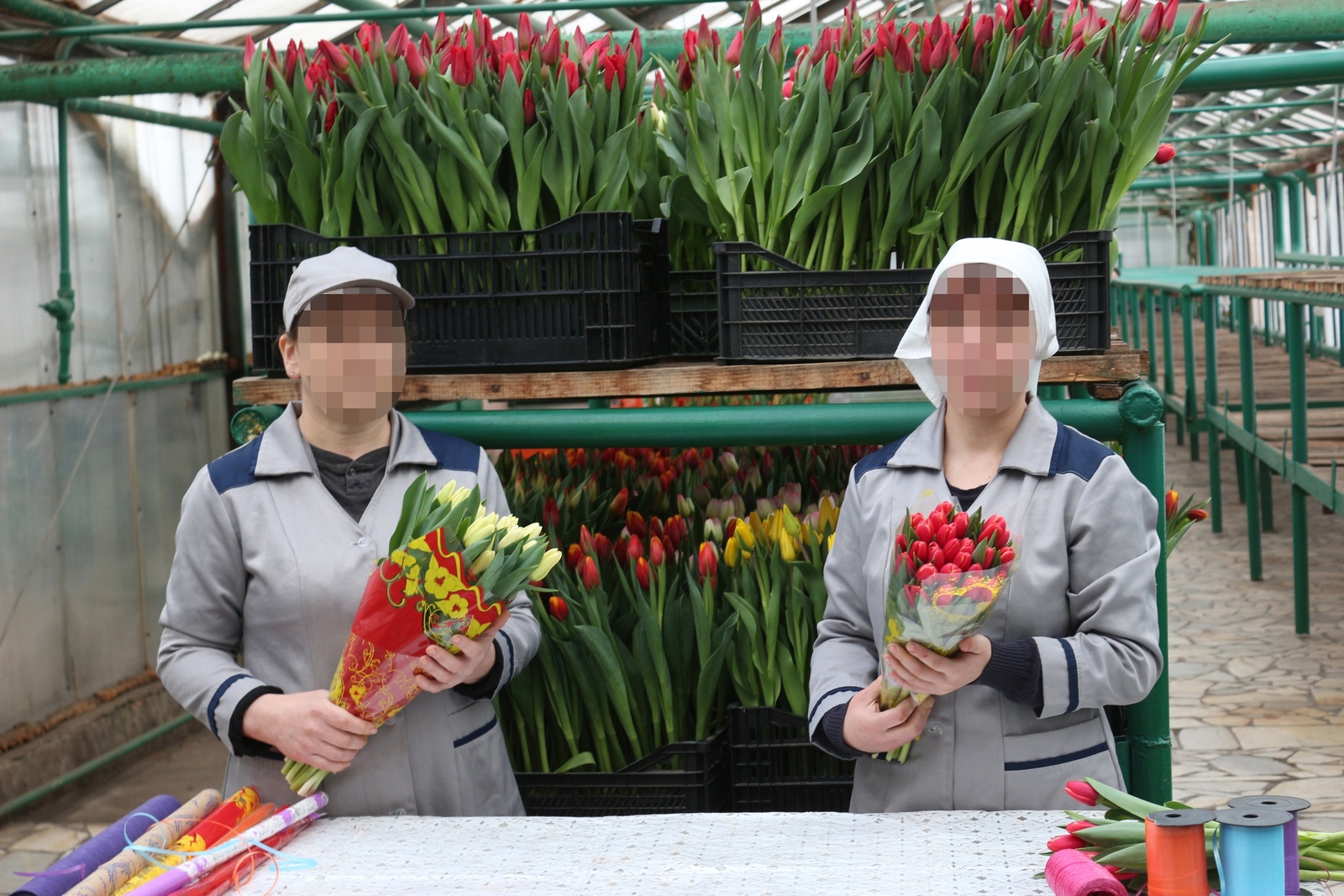 Тюльпан - символ весны и женского праздника