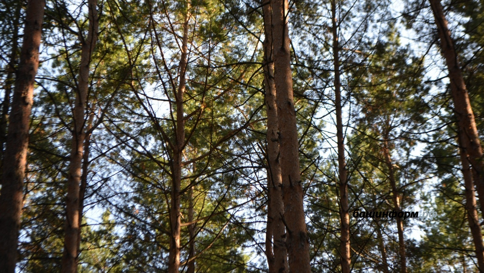 За выходные в Башкирии потерялись 6 человек