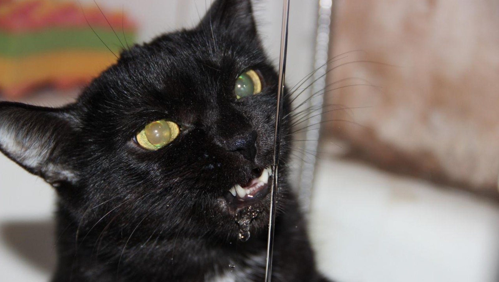 Как в Башкирии изменятся тарифы ЖКХ