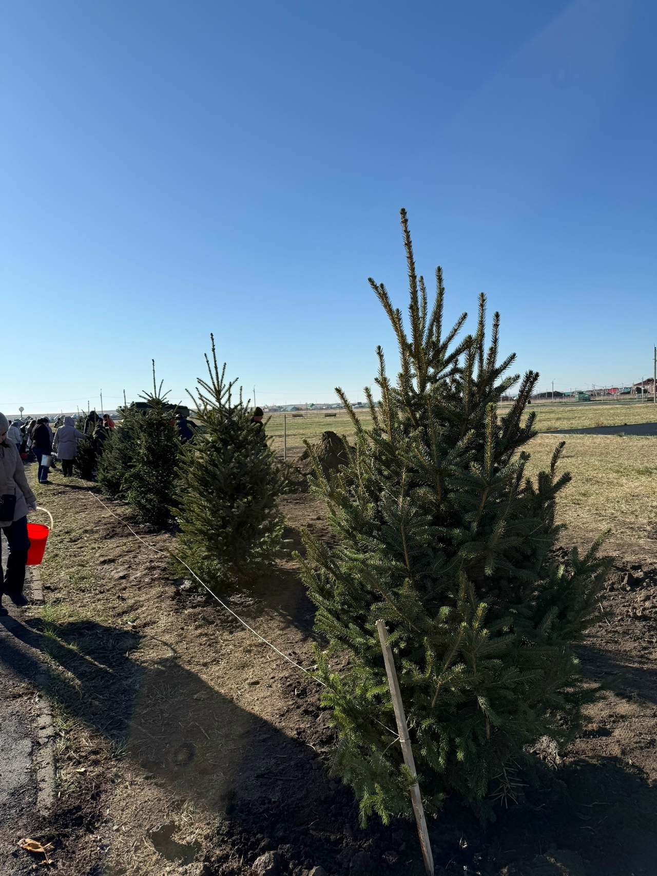 Хйбуллинцы приняли участие в ежегодной Республиканской акции «Зелёная Башкирия».