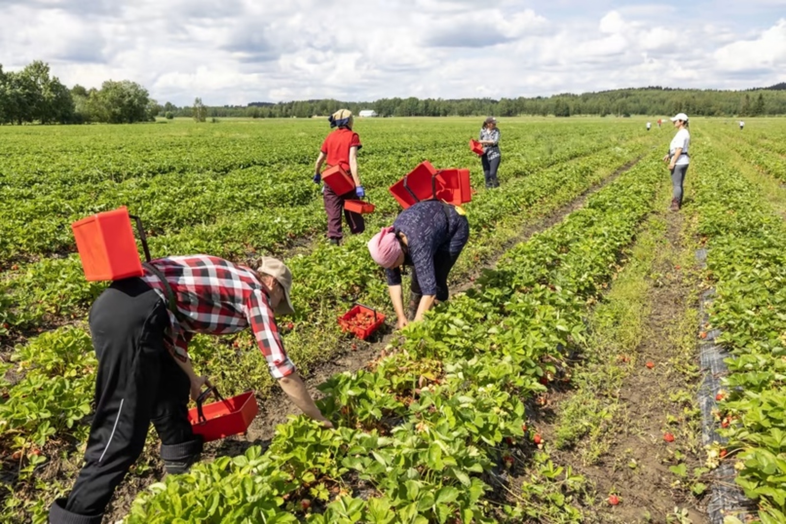 Что нужно знать о сезонных работах?
