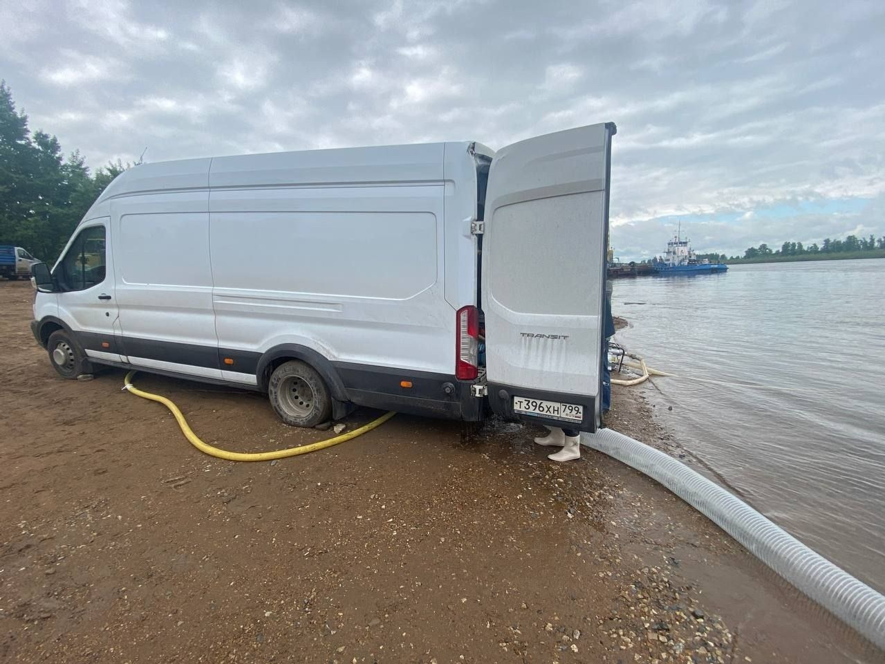 В реку Белую в Башкирии выпустили 21 тысячу мальков стерляди