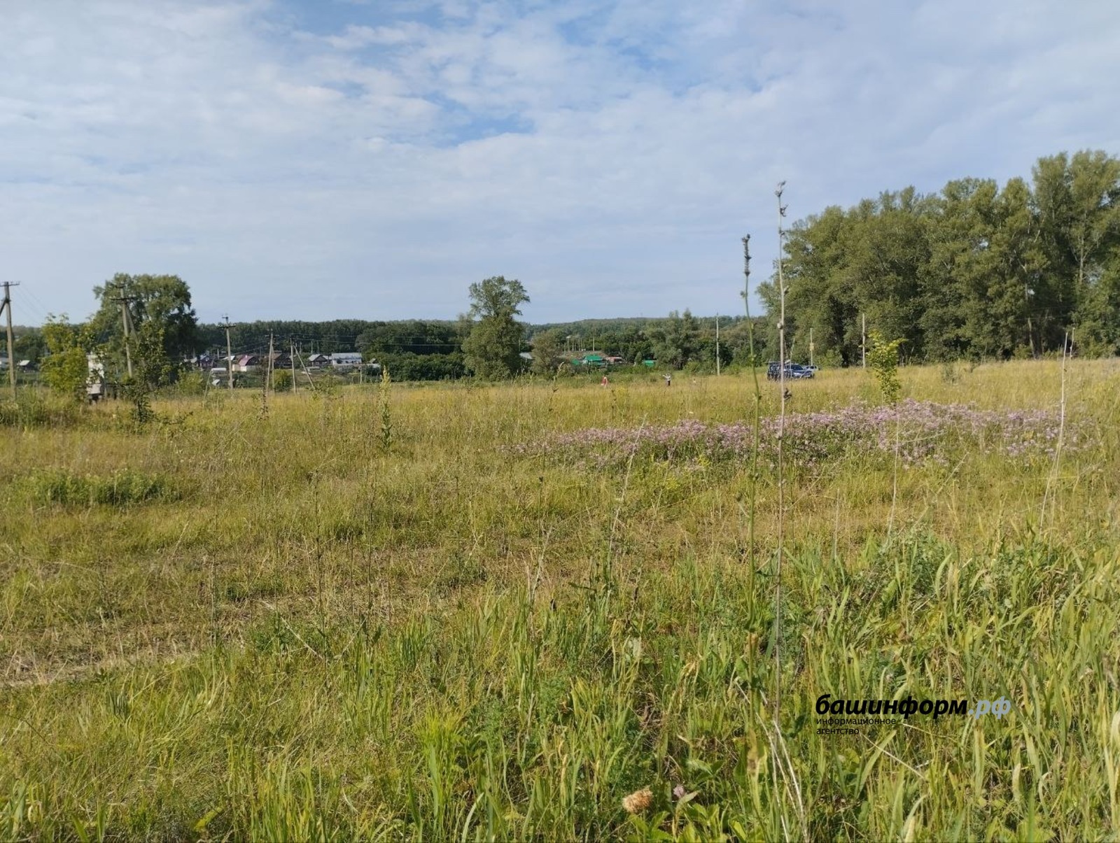 В Башкирии изменится перевод сельхозземель в другие категории