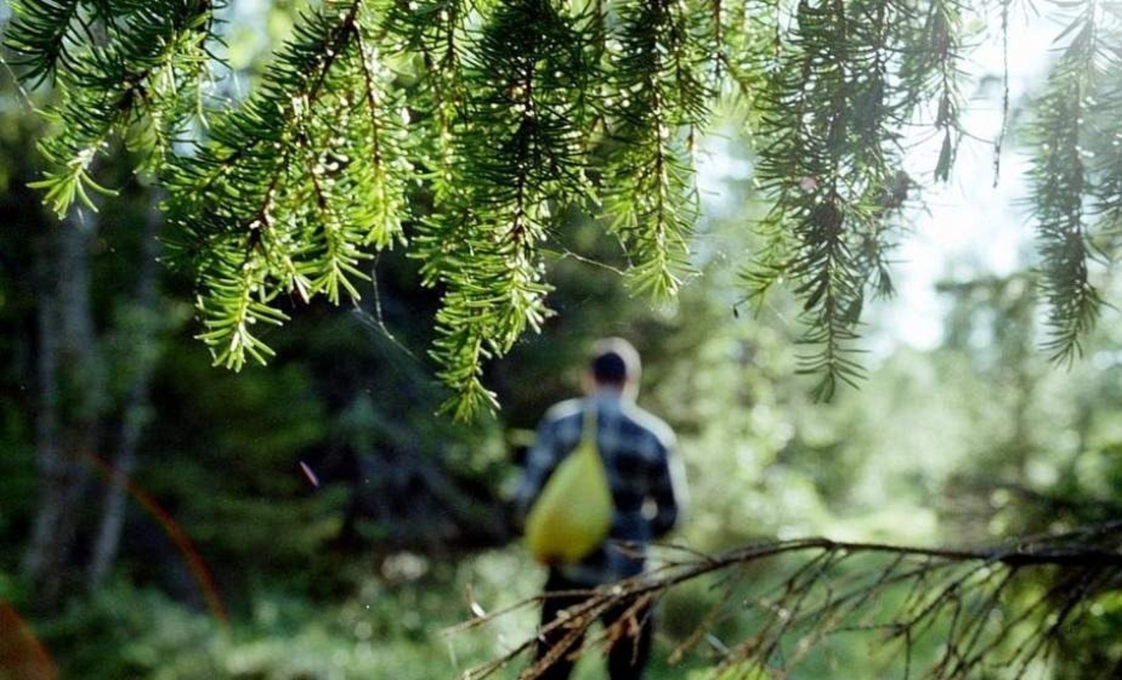 В лесах Зианчуринского района Башкирии пропал мужчина