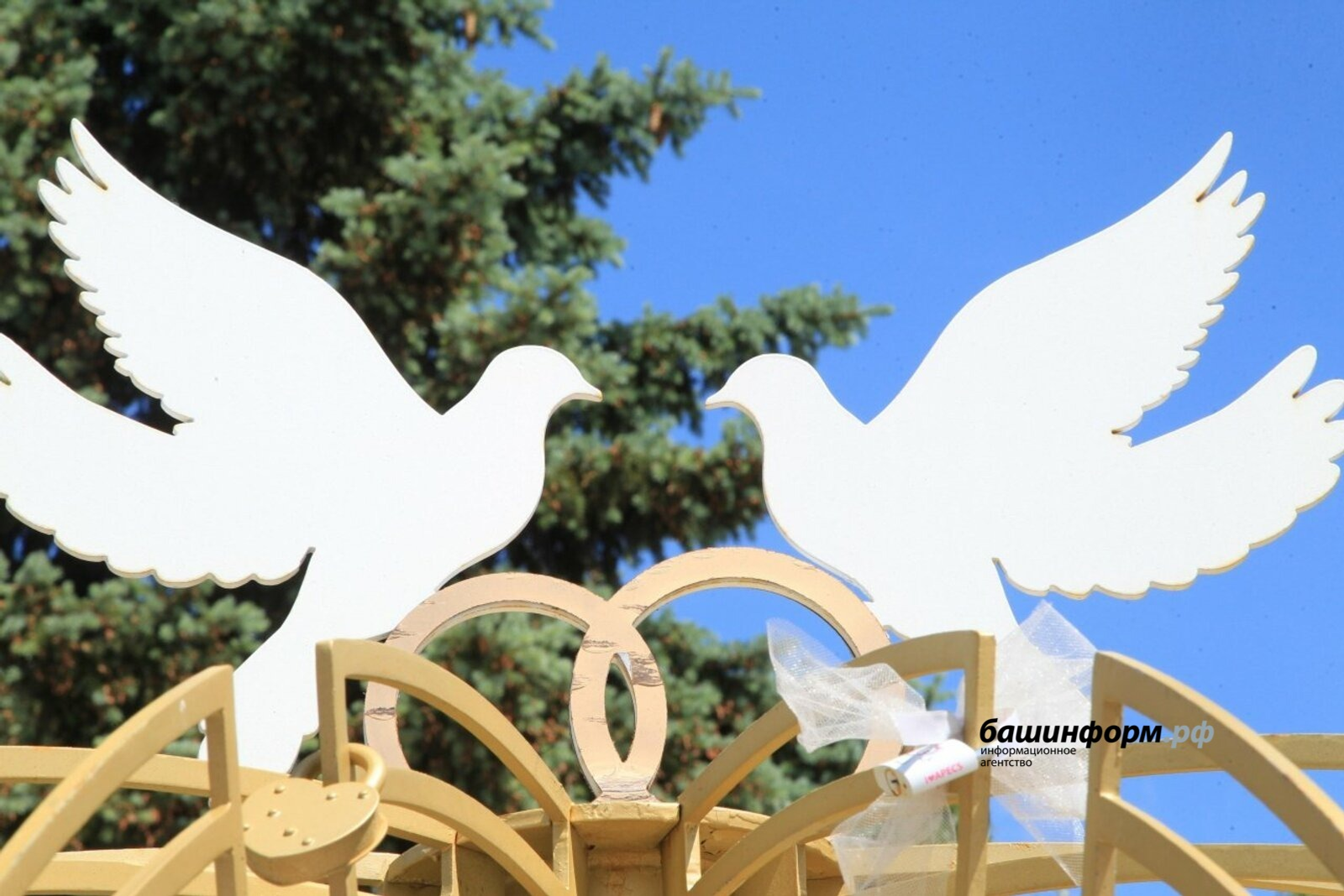 В Башкирии с начала года зарегистрировано более 61 тысячи браков