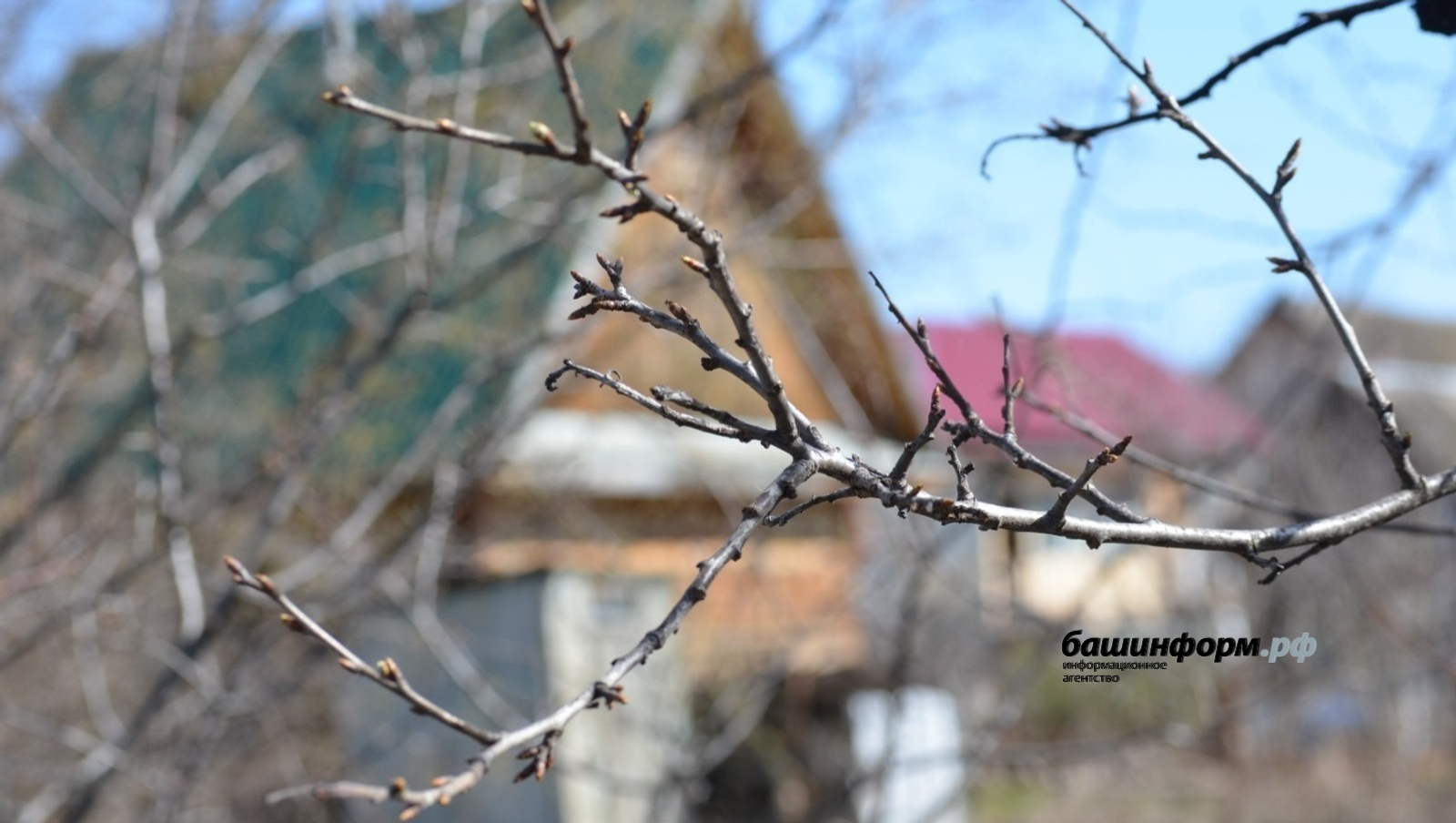 Какой будет погода в Башкирии – прогноз