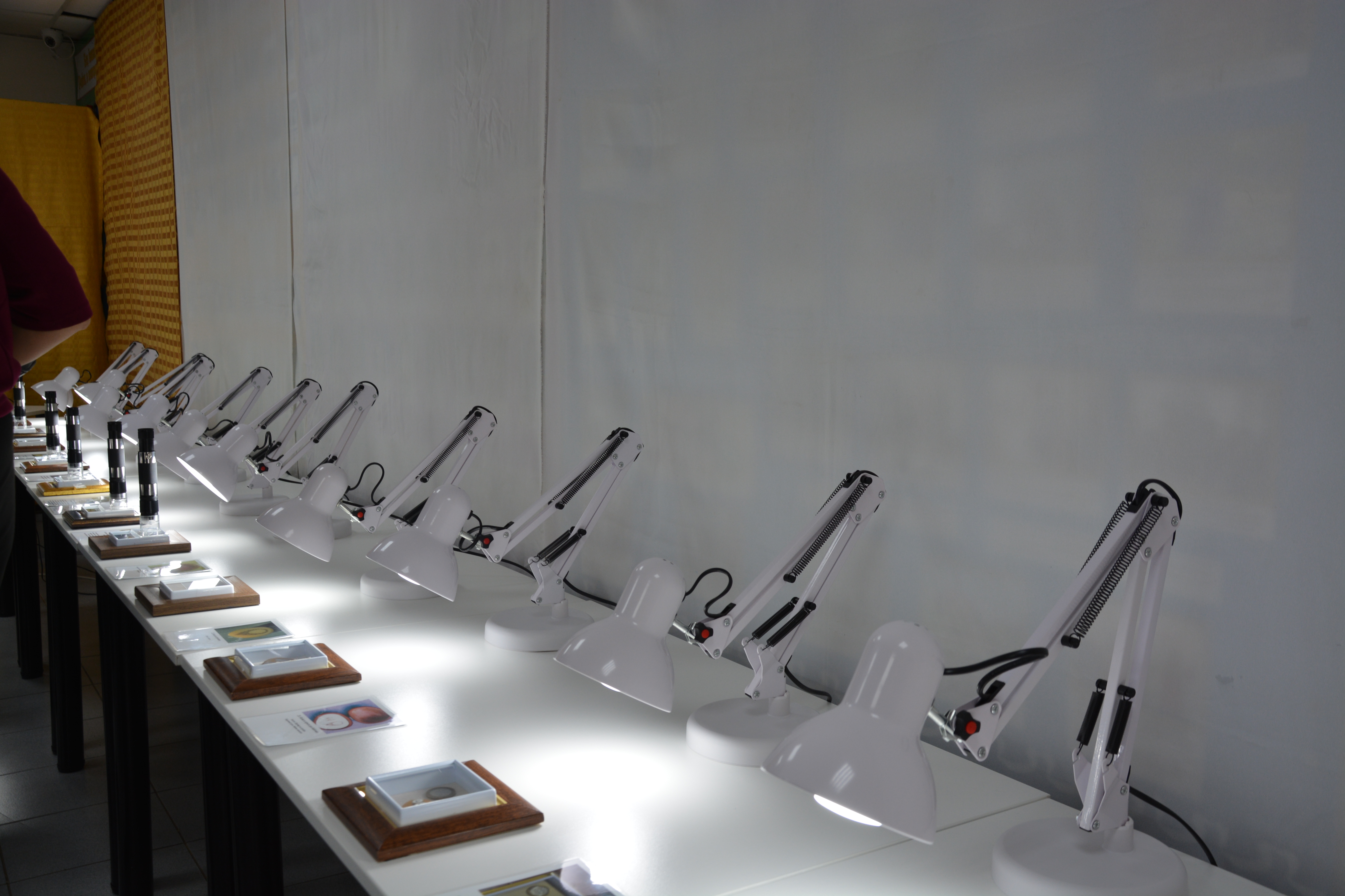 «Сибирский Левша», или Микромир Анатолия Коненко