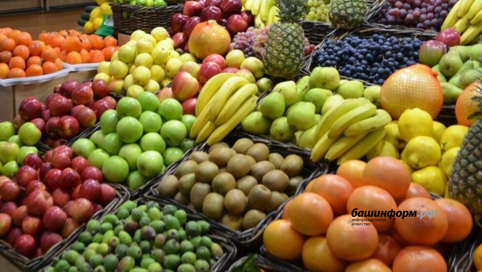 Жителей Башкирии приглашают на сельскохозяйственные ярмарки