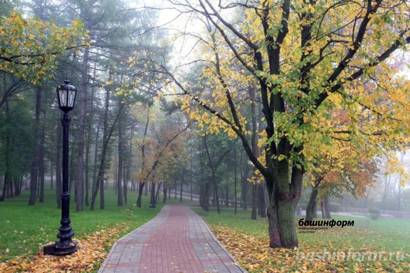 В Башкирии синоптики сообщили об особенностях погоды на следующей неделе