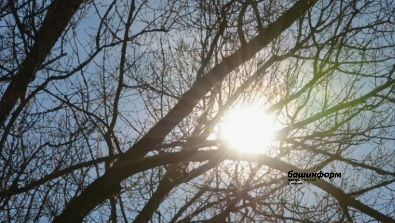 Хайбуллинцы смогут увидеть полярное сияние в ночь со вторника на среду