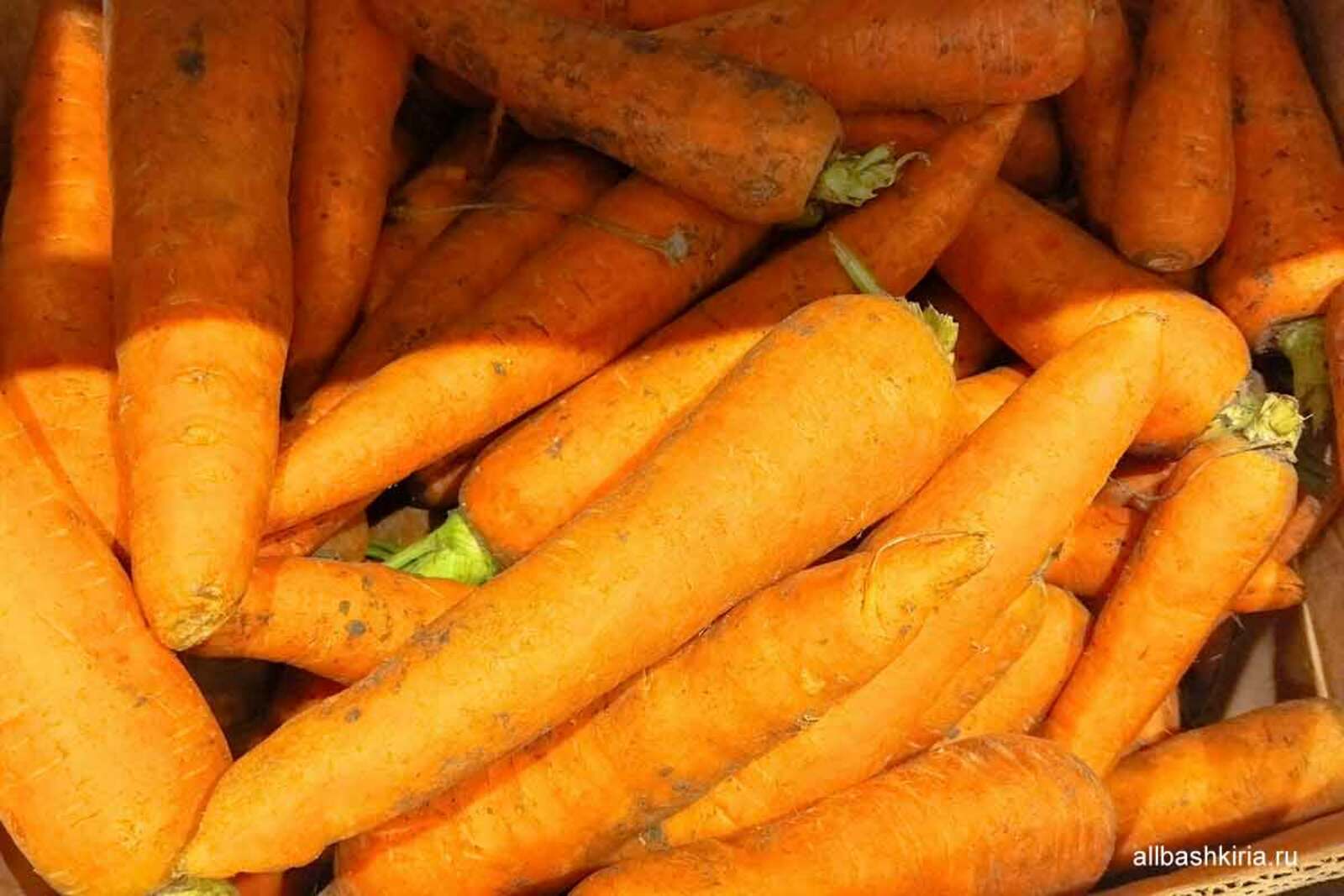 В Башкирии за неделю подорожали морковь и яйца, а огурцы подешевели