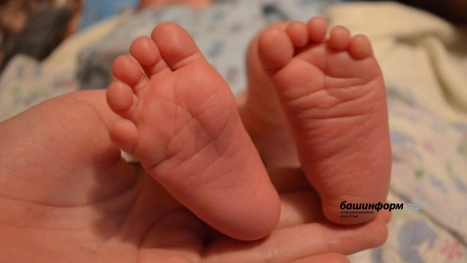 В Башкирии появились на свет Мумина и Сархан