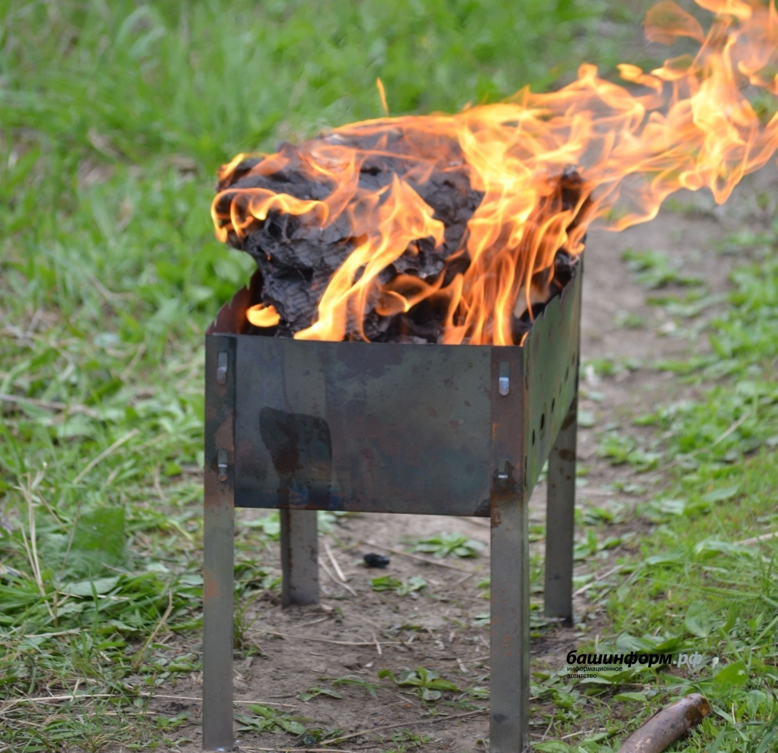 Жителям Башкирии напомнили правила приготовления шашлыков