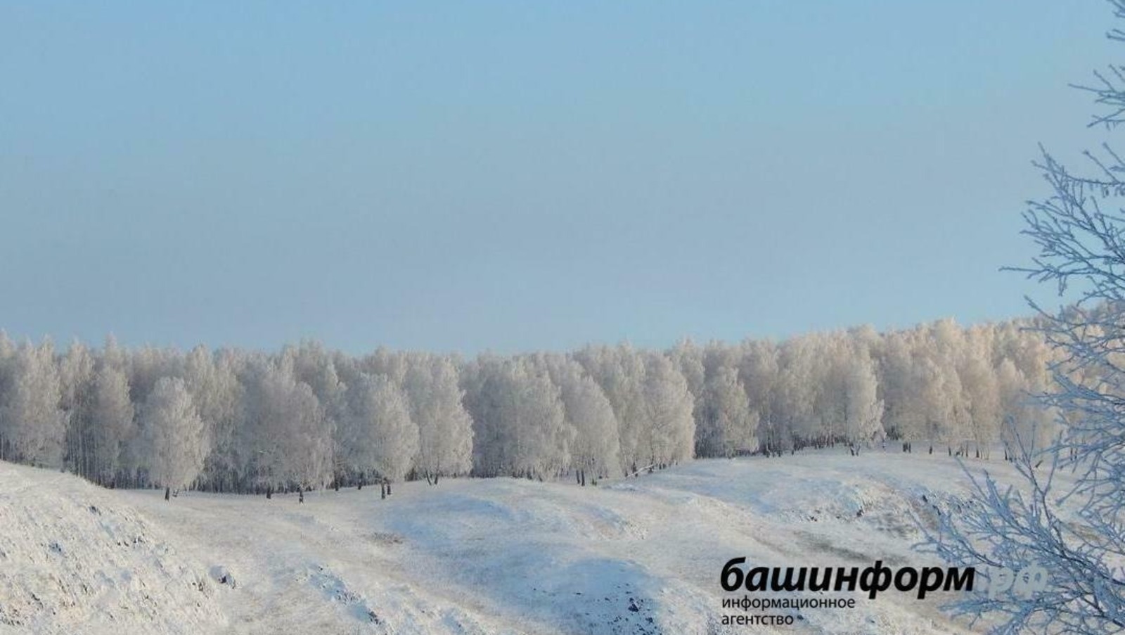 В зимних лесах Башкирии потерялись 11 человек