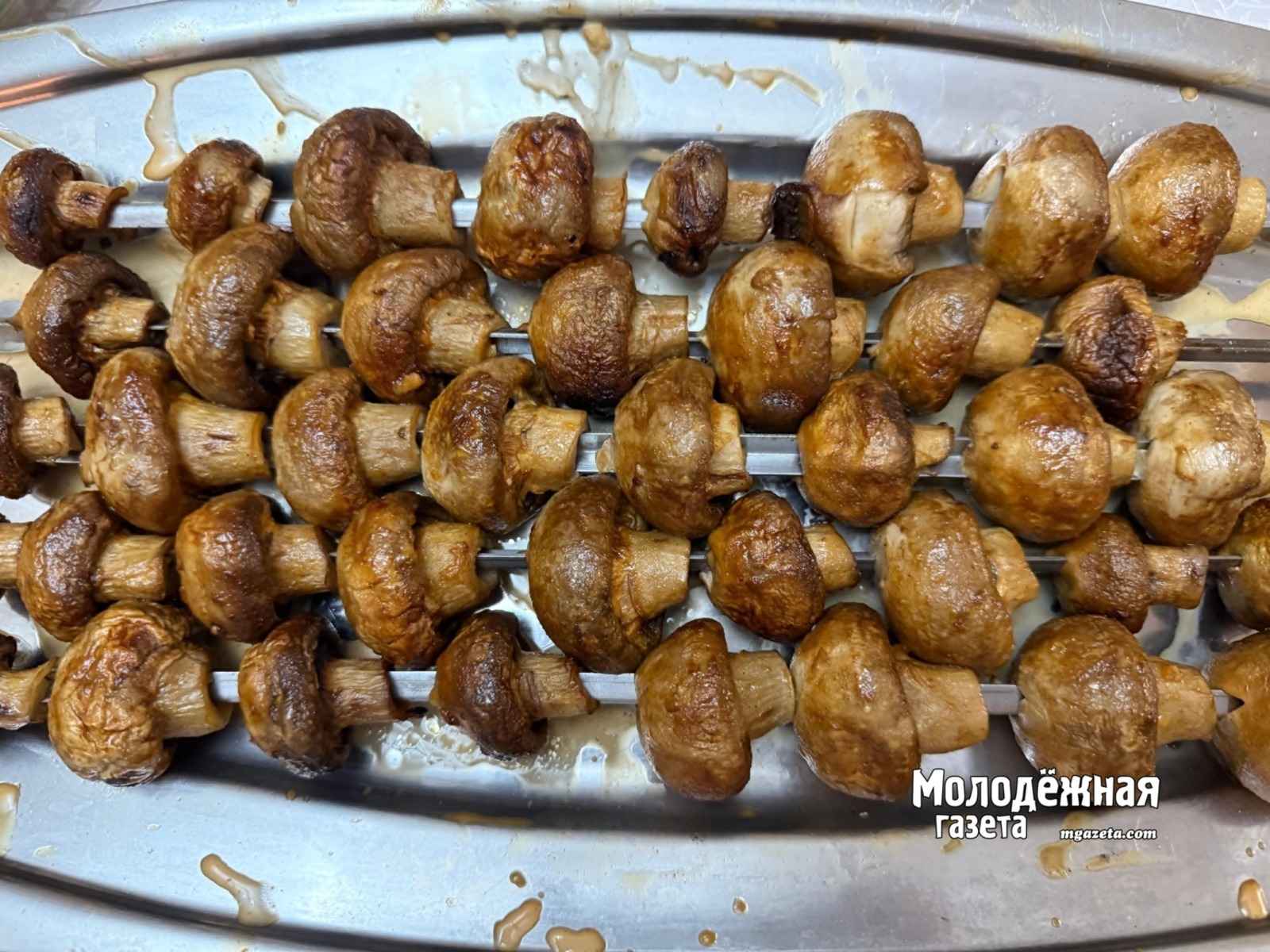 Грибная осенняя пора