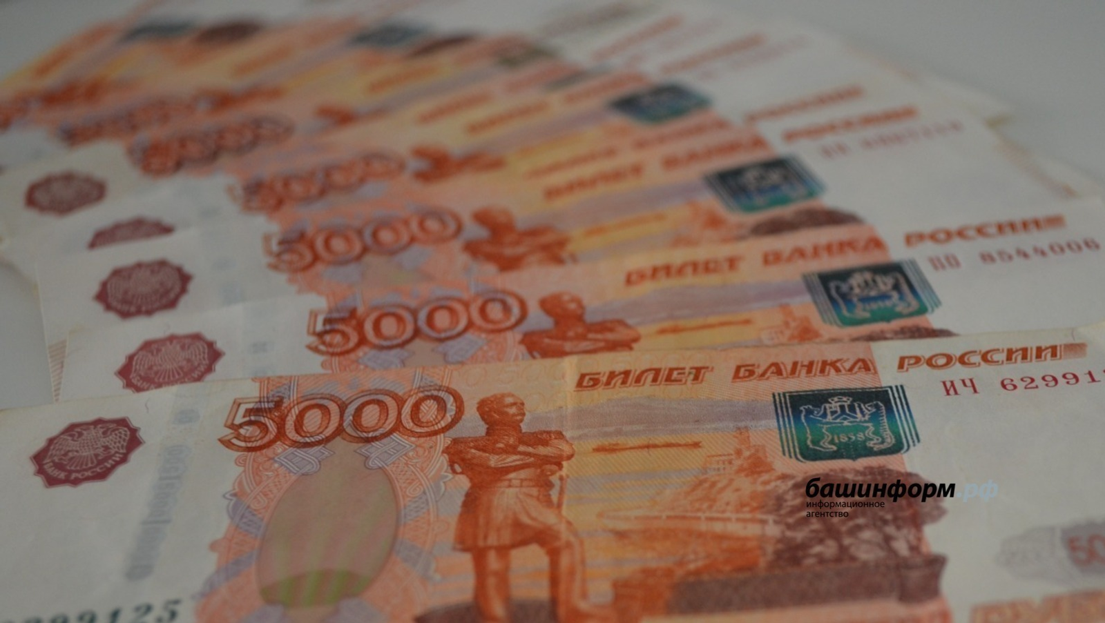 Студенты-платники могут получить образовательный кредит с господдержкой