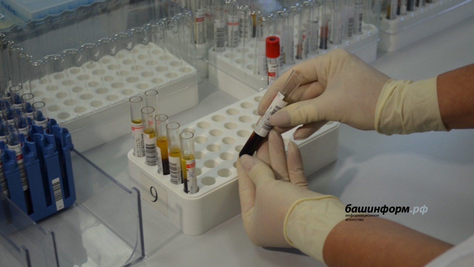 В Башкирии коронавирусом за сутки заболели 17 человек