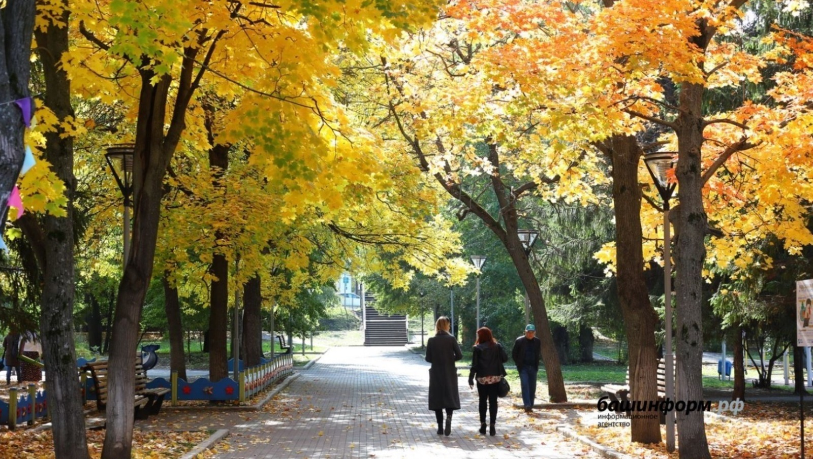 Какие законы вступают в силу с 1 октября 2025 года