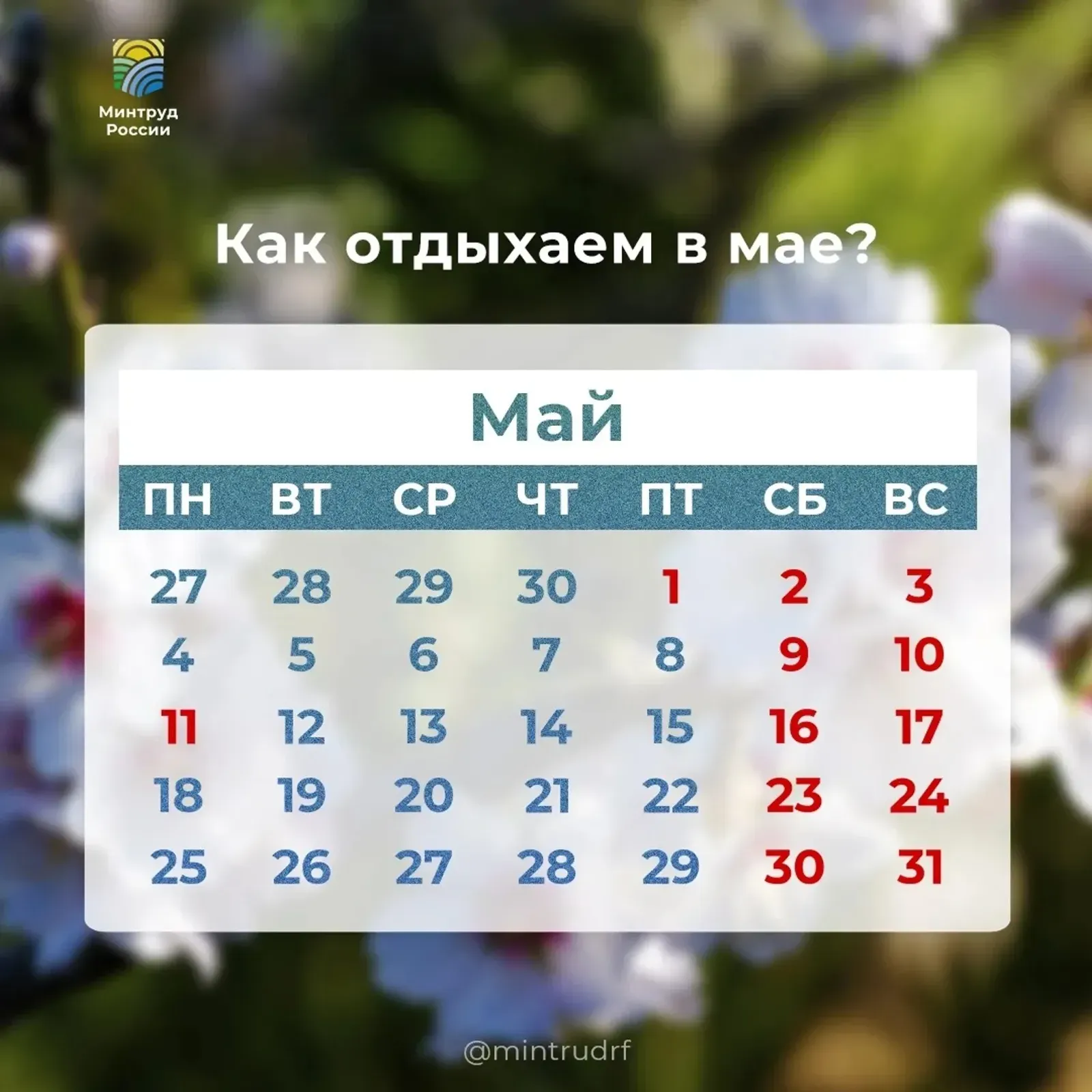 Новая рабочая неделя в Башкирии будет короткой