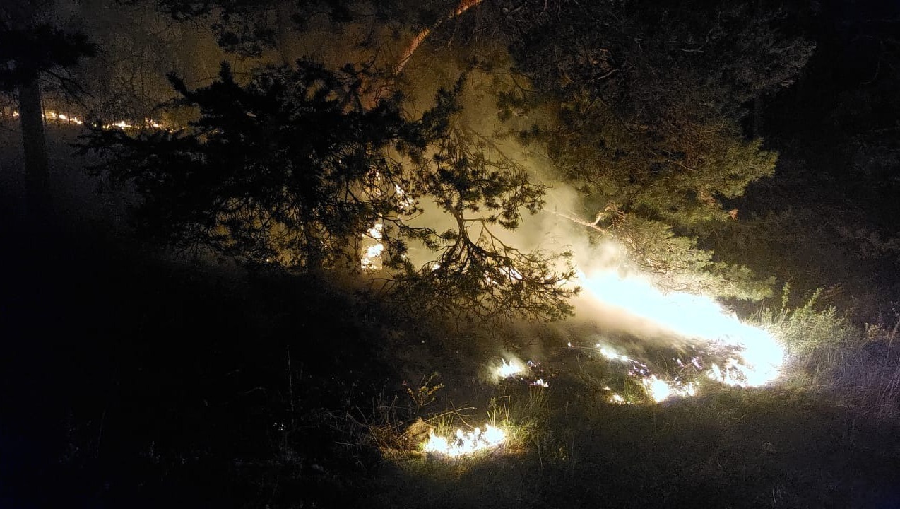 В Башкирии около села Абзаково в лесу загорелась сухая трава