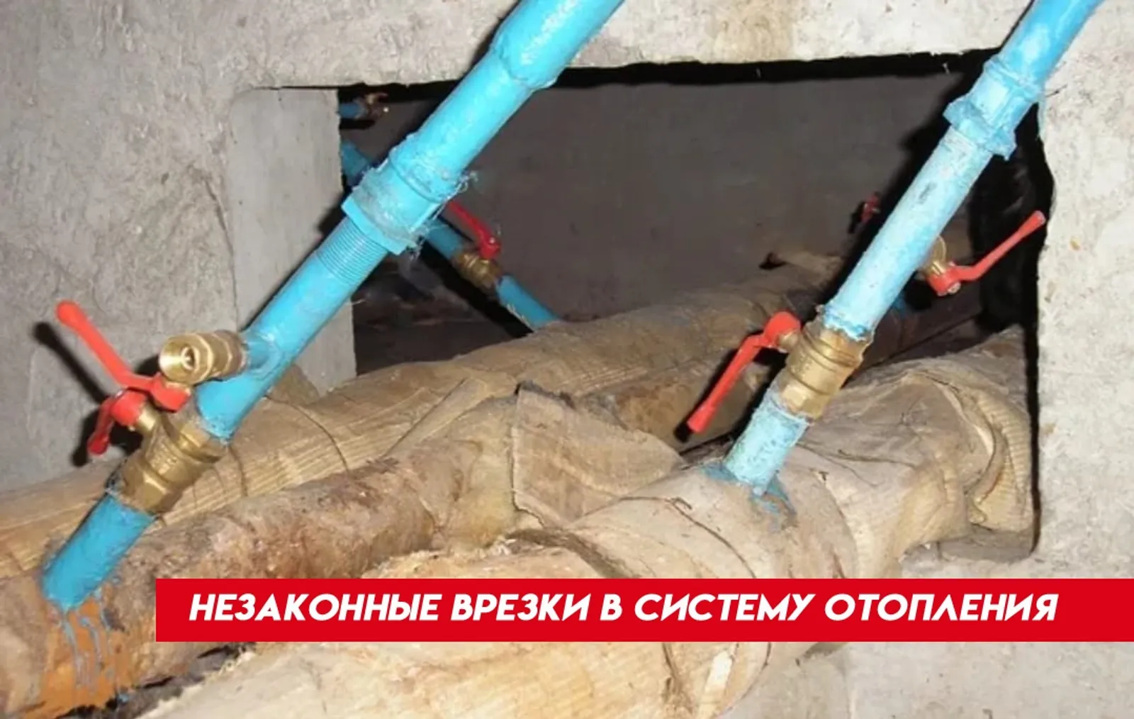 Давайте жить дружно и тепло! И законно!
