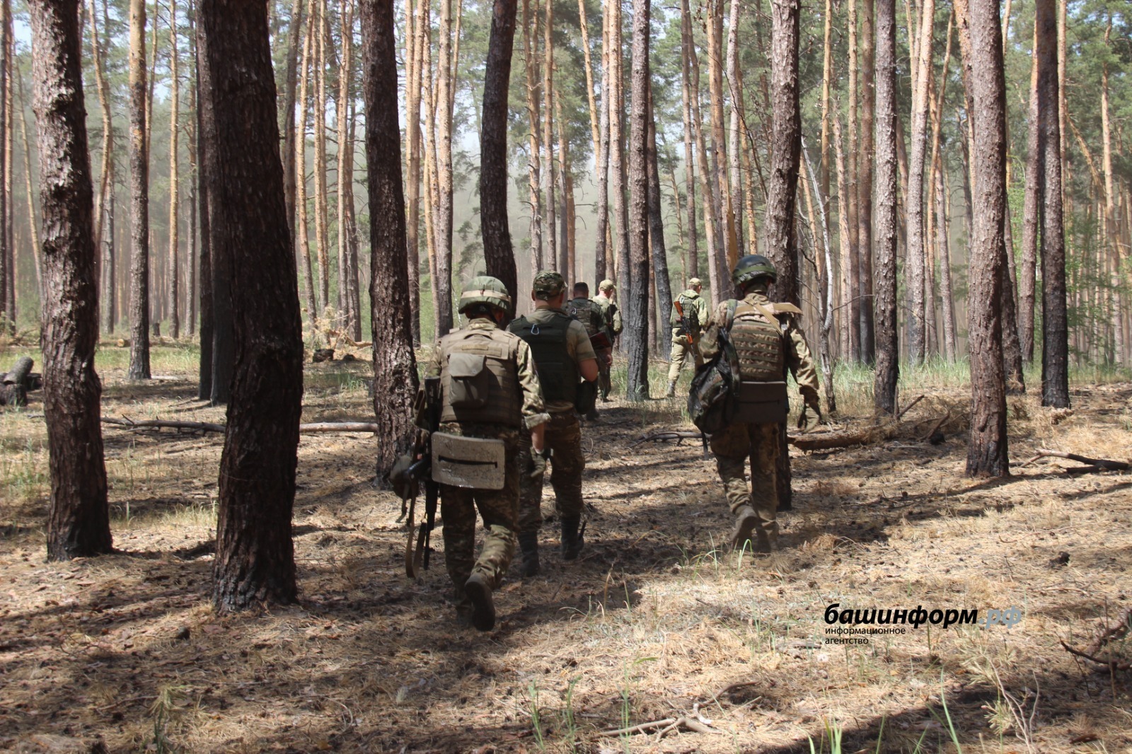 В правительстве Башкирии сообщили, что ждёт возвращающихся с СВО бойцов